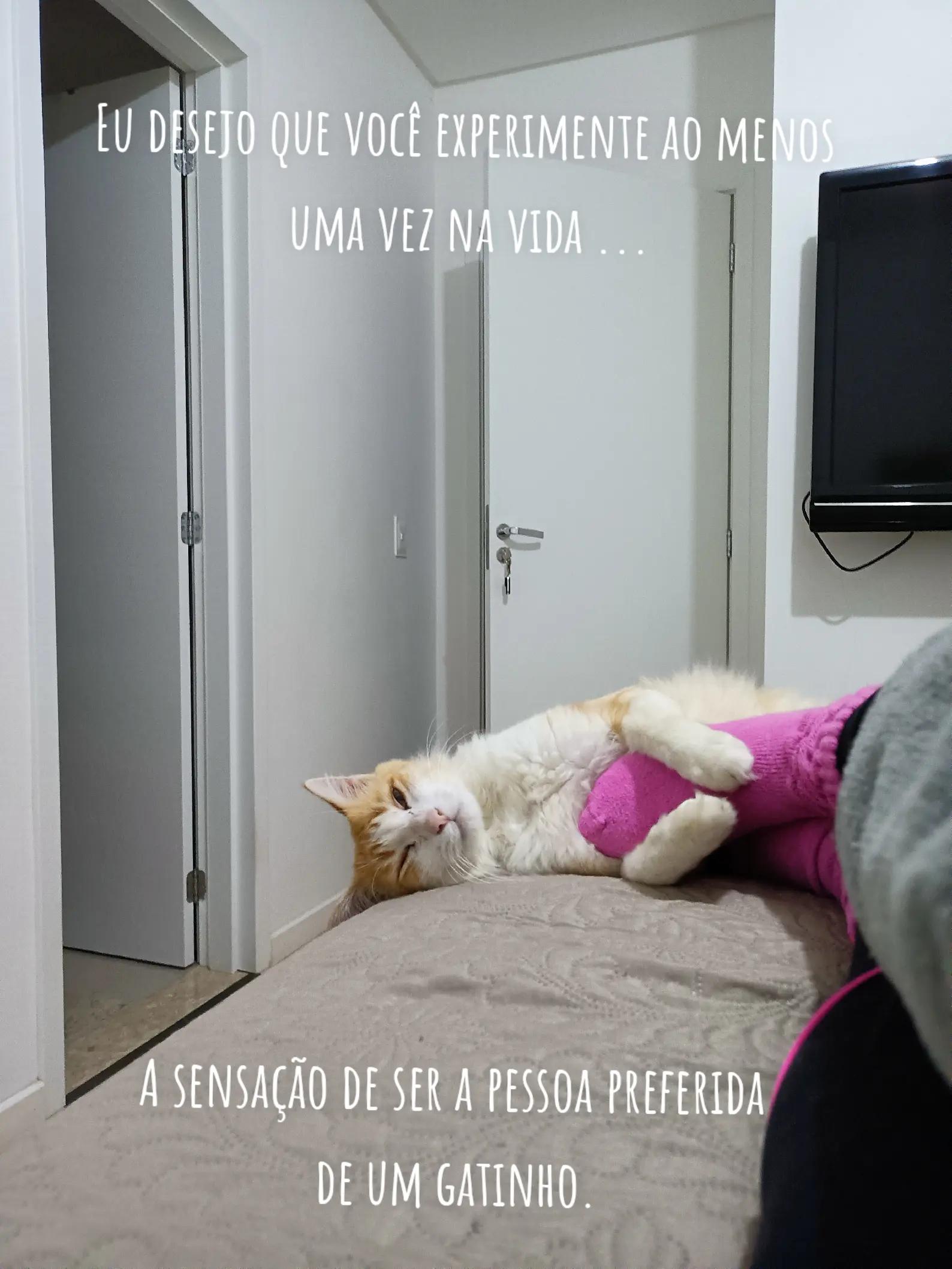 @Andréia