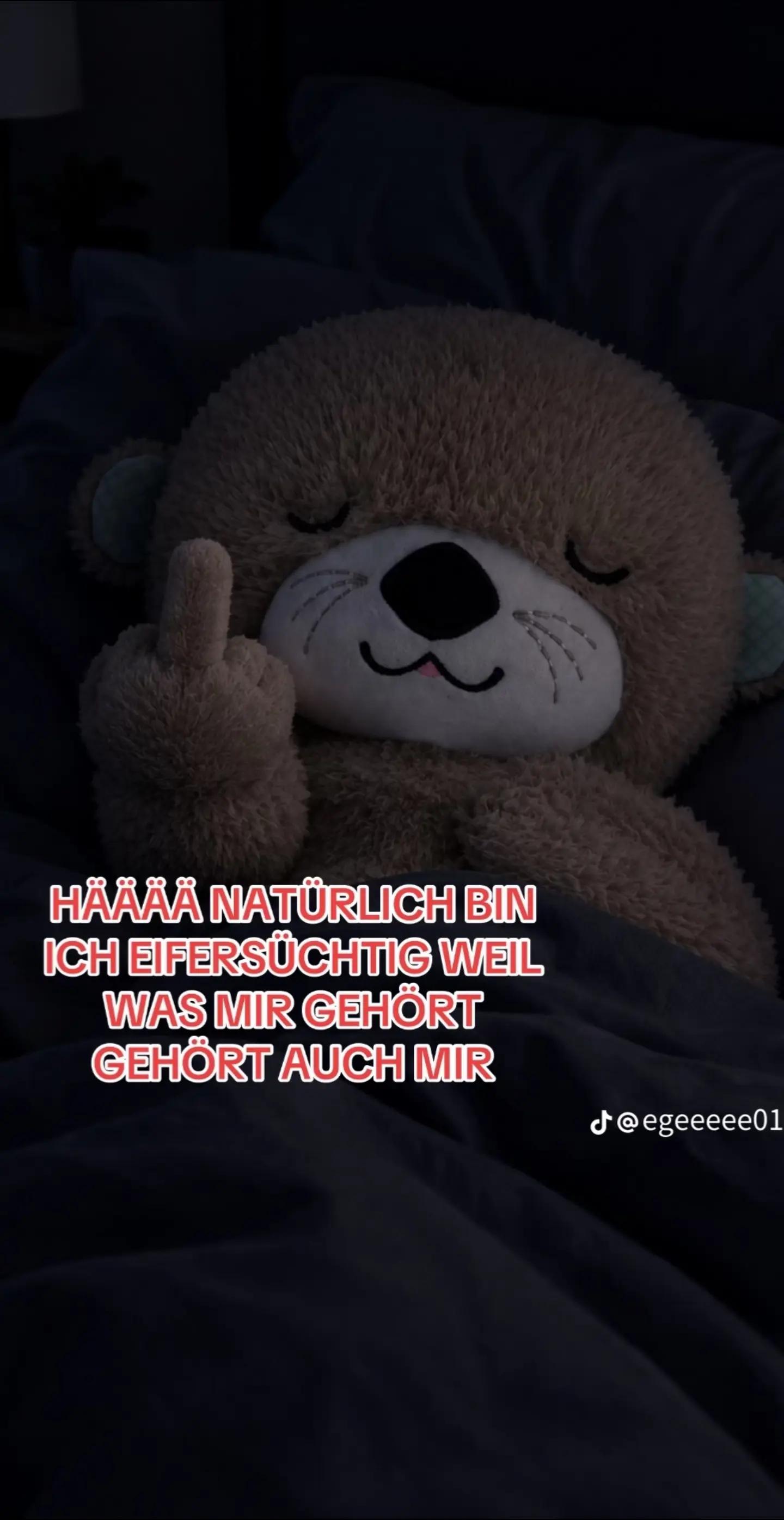 @卂զ𝘶𝓪 ʕ•ᴥ•ʔ