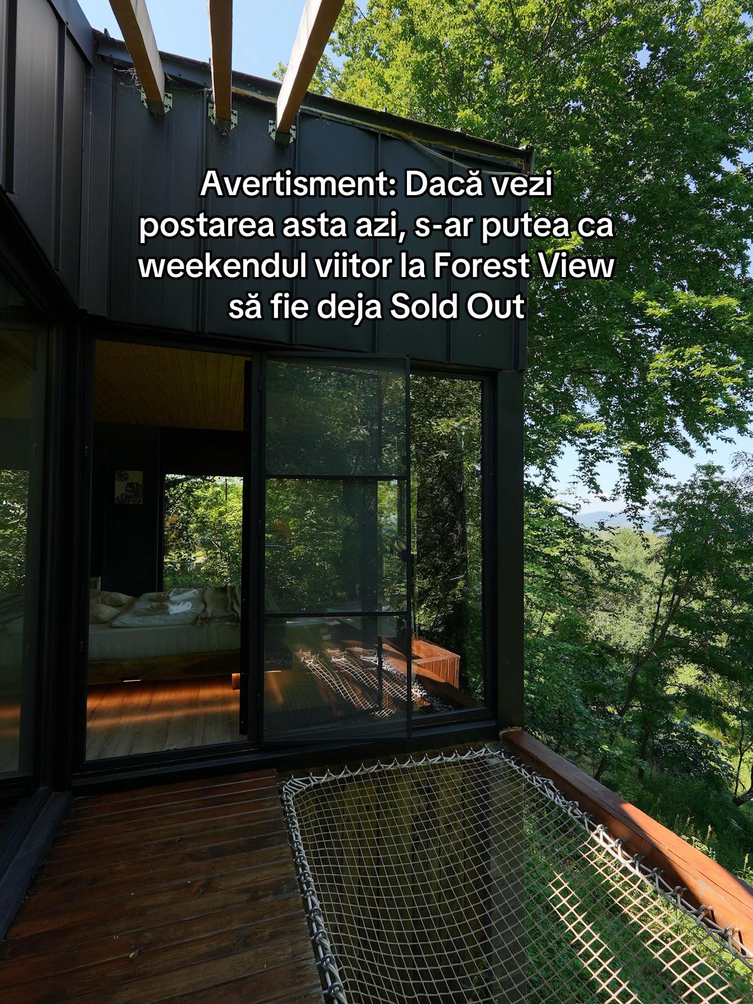 @Forest View Valcea
