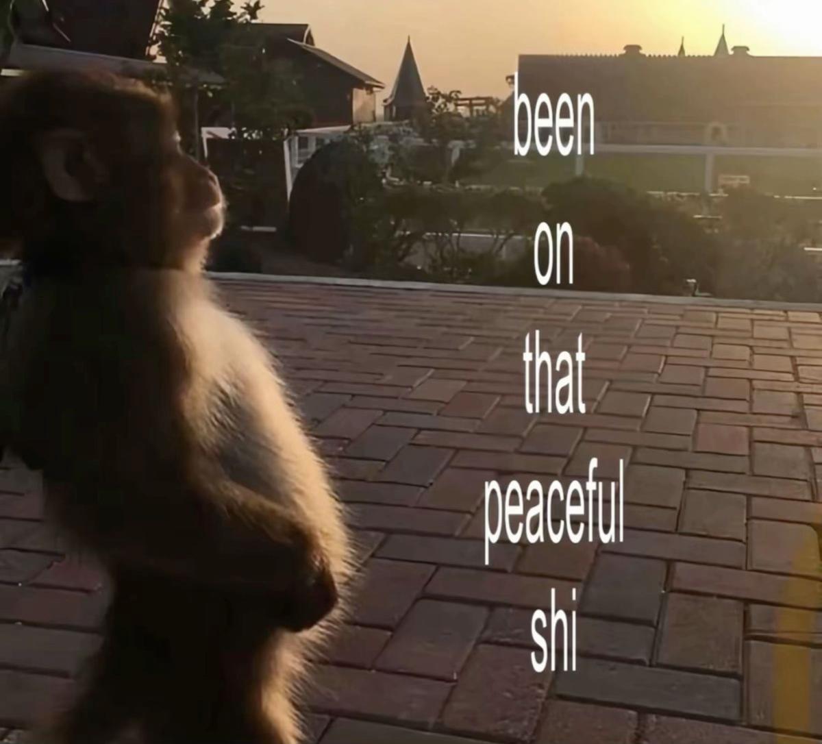 @Kvrz