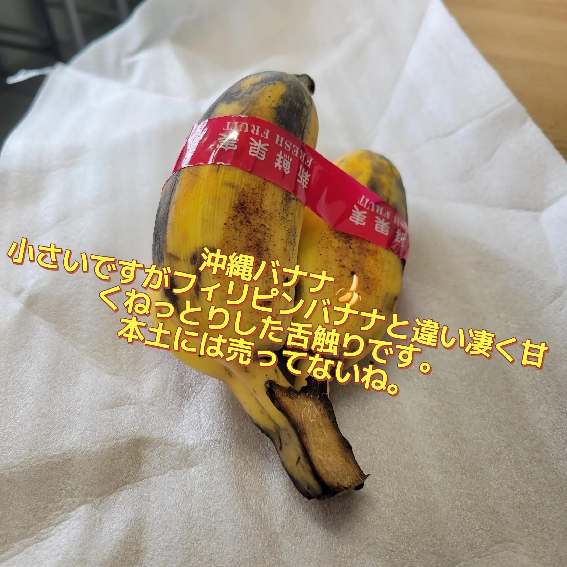 @dyortv78kl8e自由に明るくのびのびと