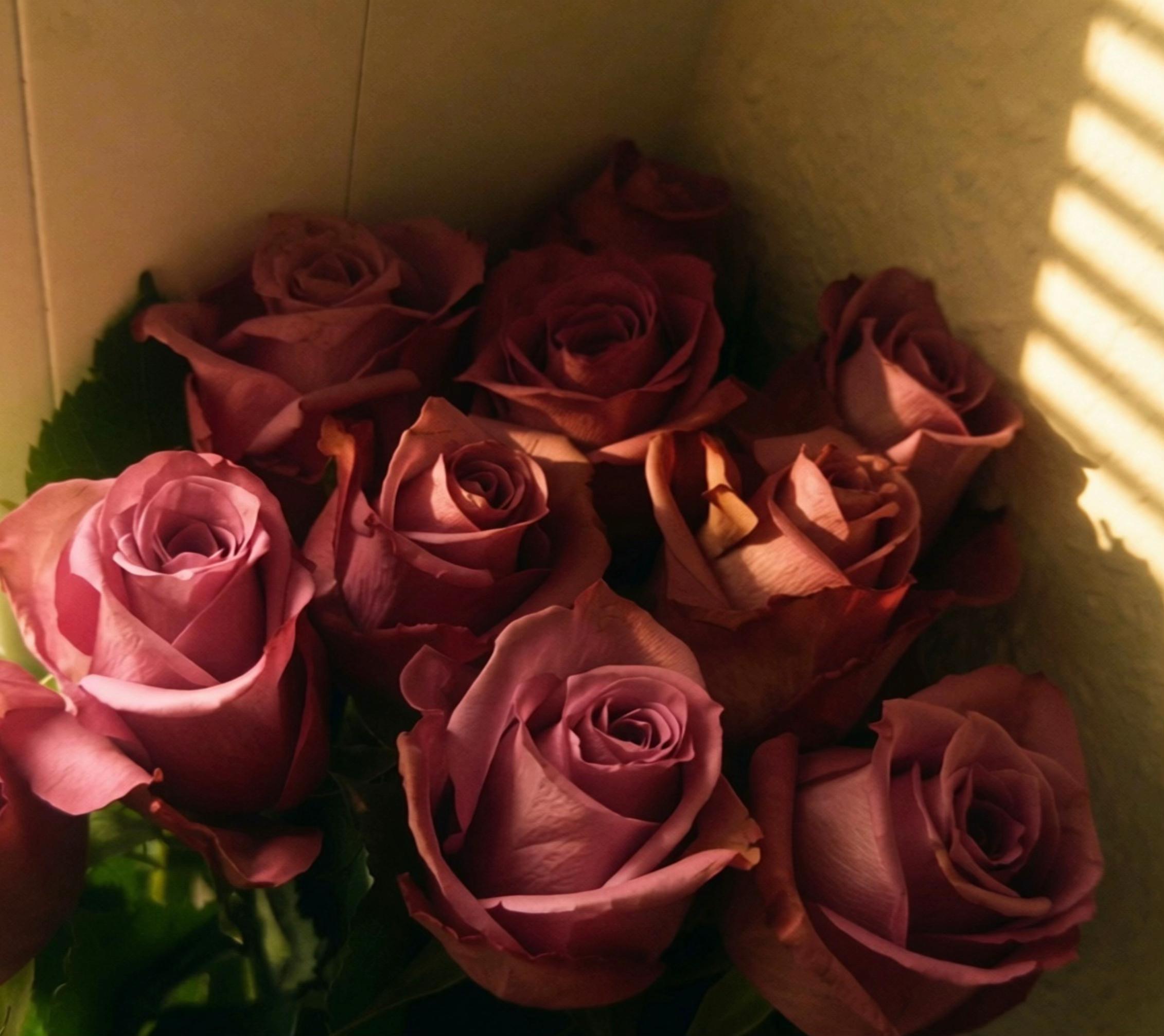 @faridamdvv