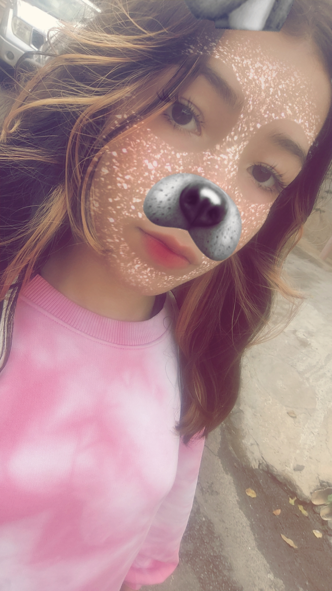 @˚˖𓍢🌷✧˚.🎀⋆。・𝐁ang𝐂han 🐺・。
