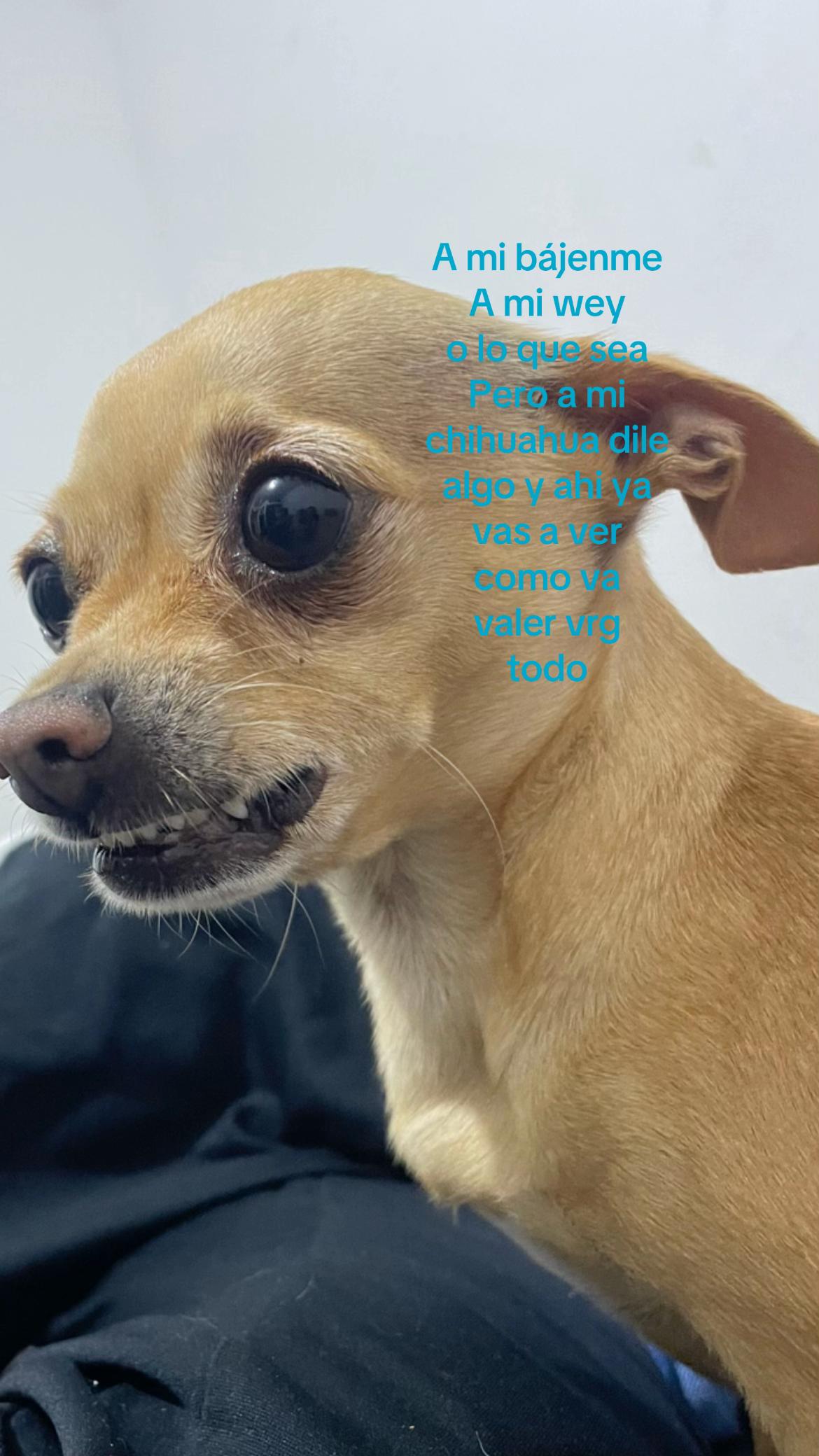 @yorleyleyvaaa