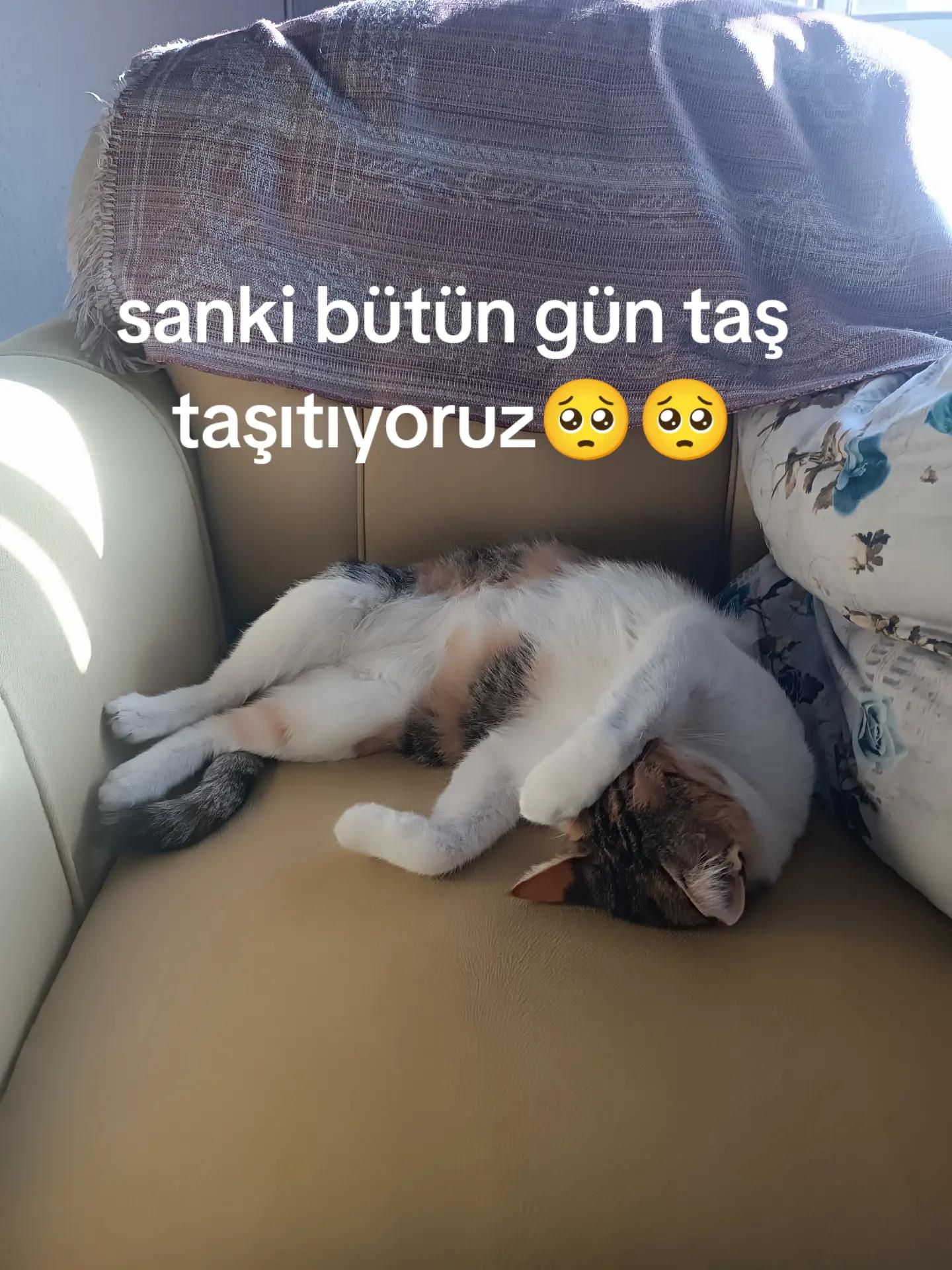 @Önder Tunç