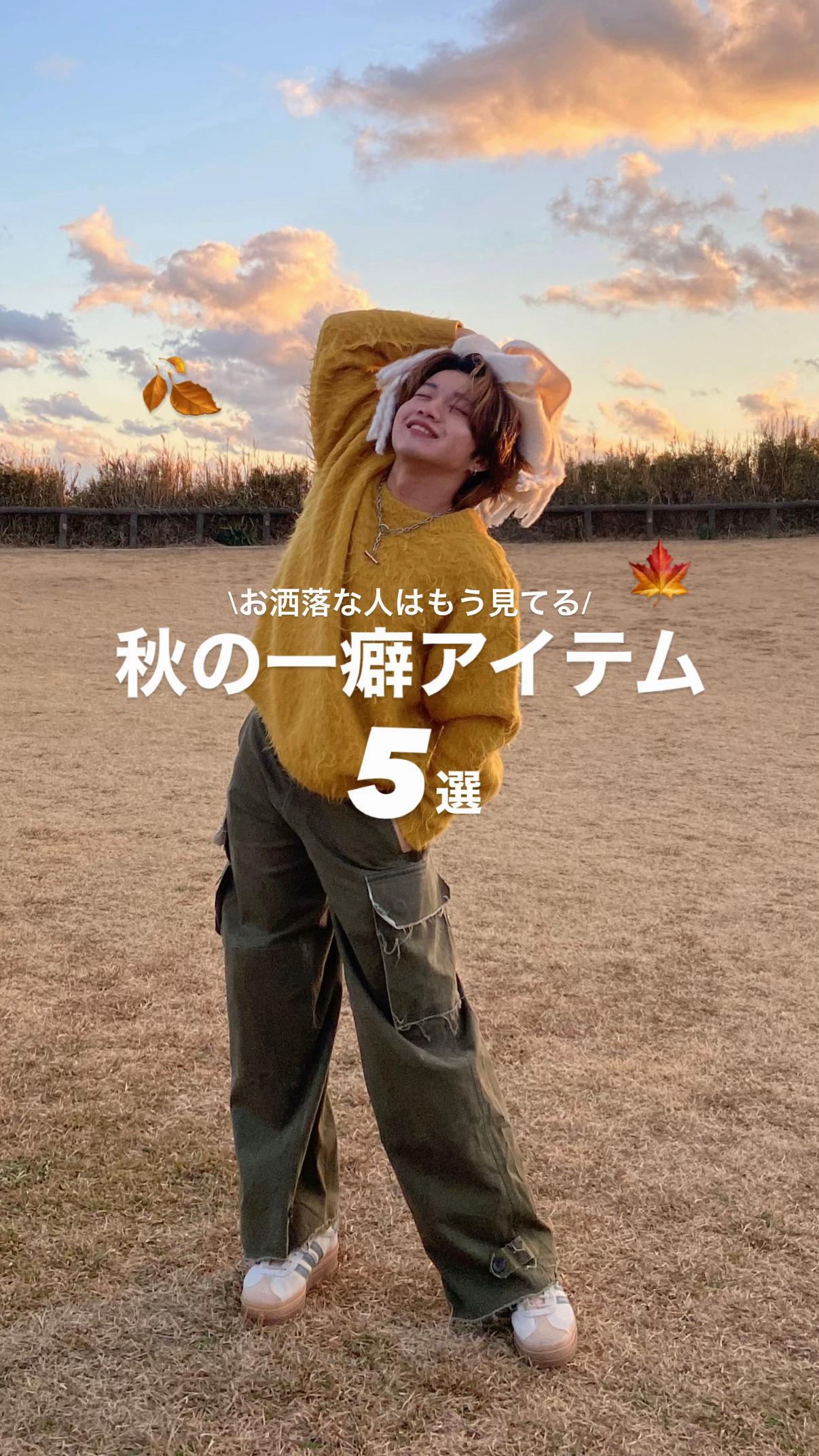 @竜聖(ダイオード)