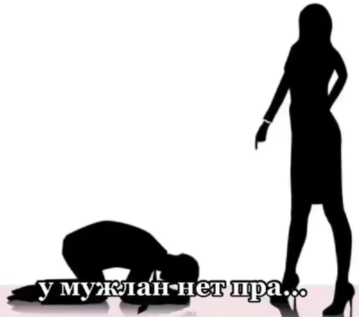 @fel