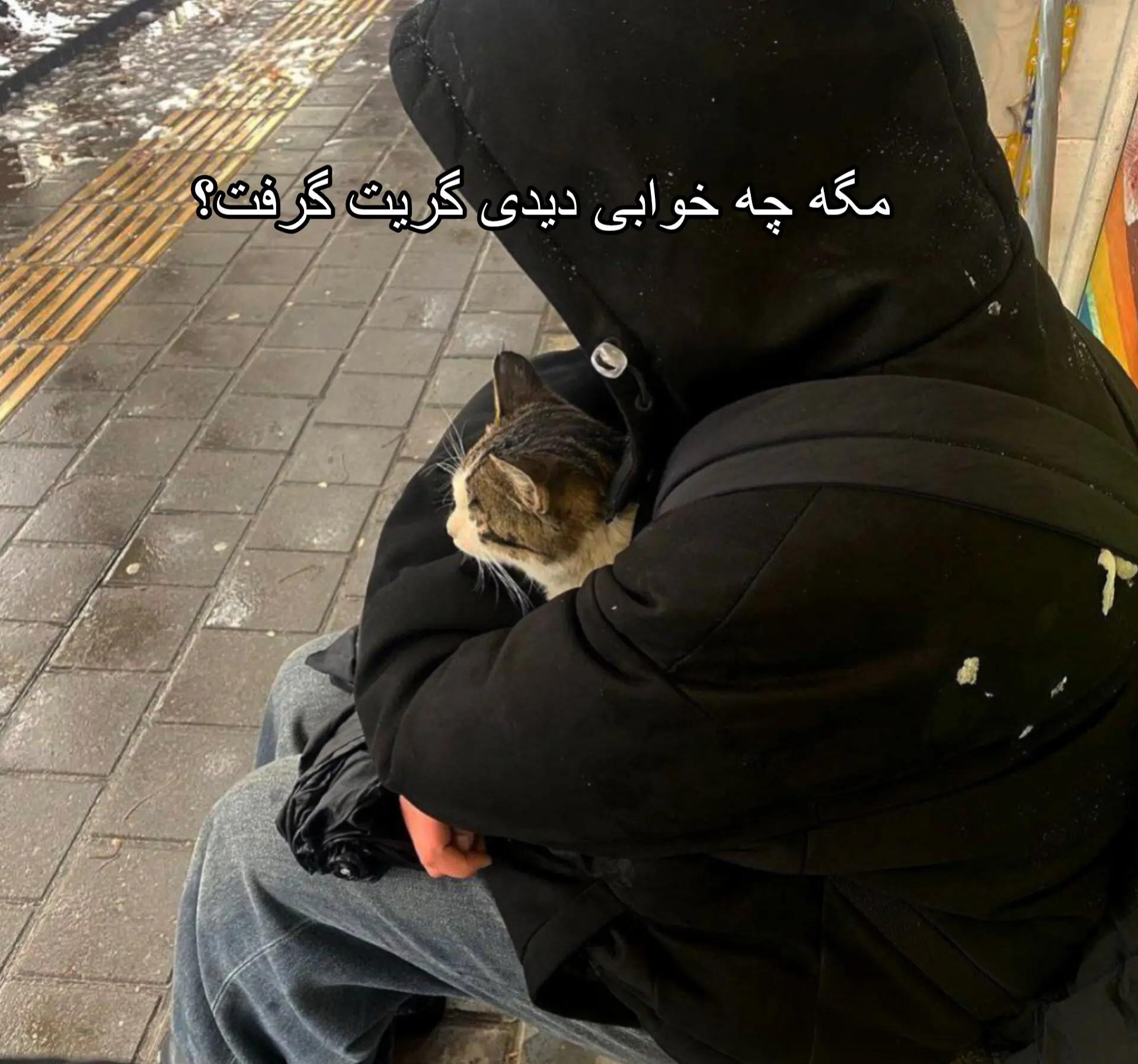 @🐈&zwj;⬛