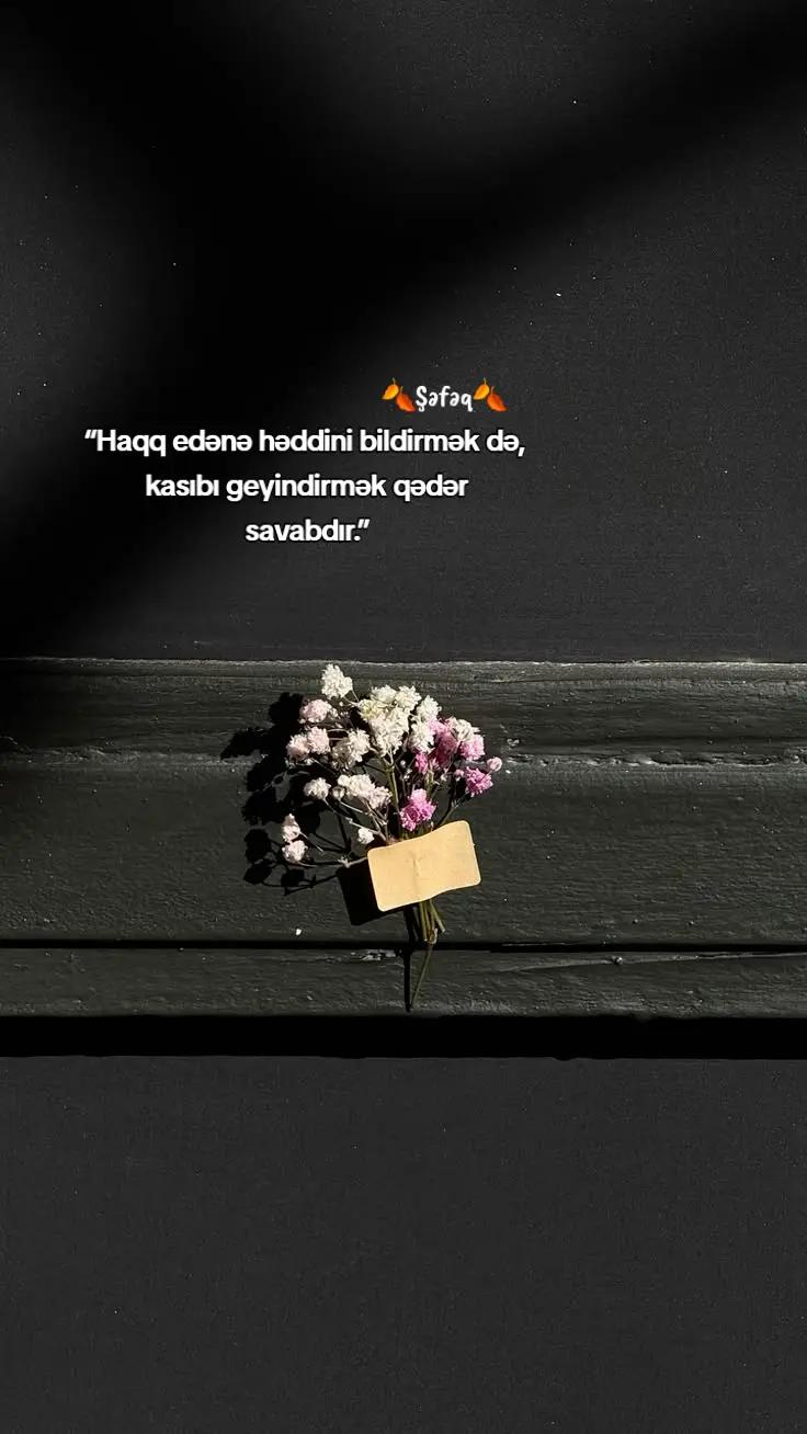 @🍂ŞƏFƏQ🍂