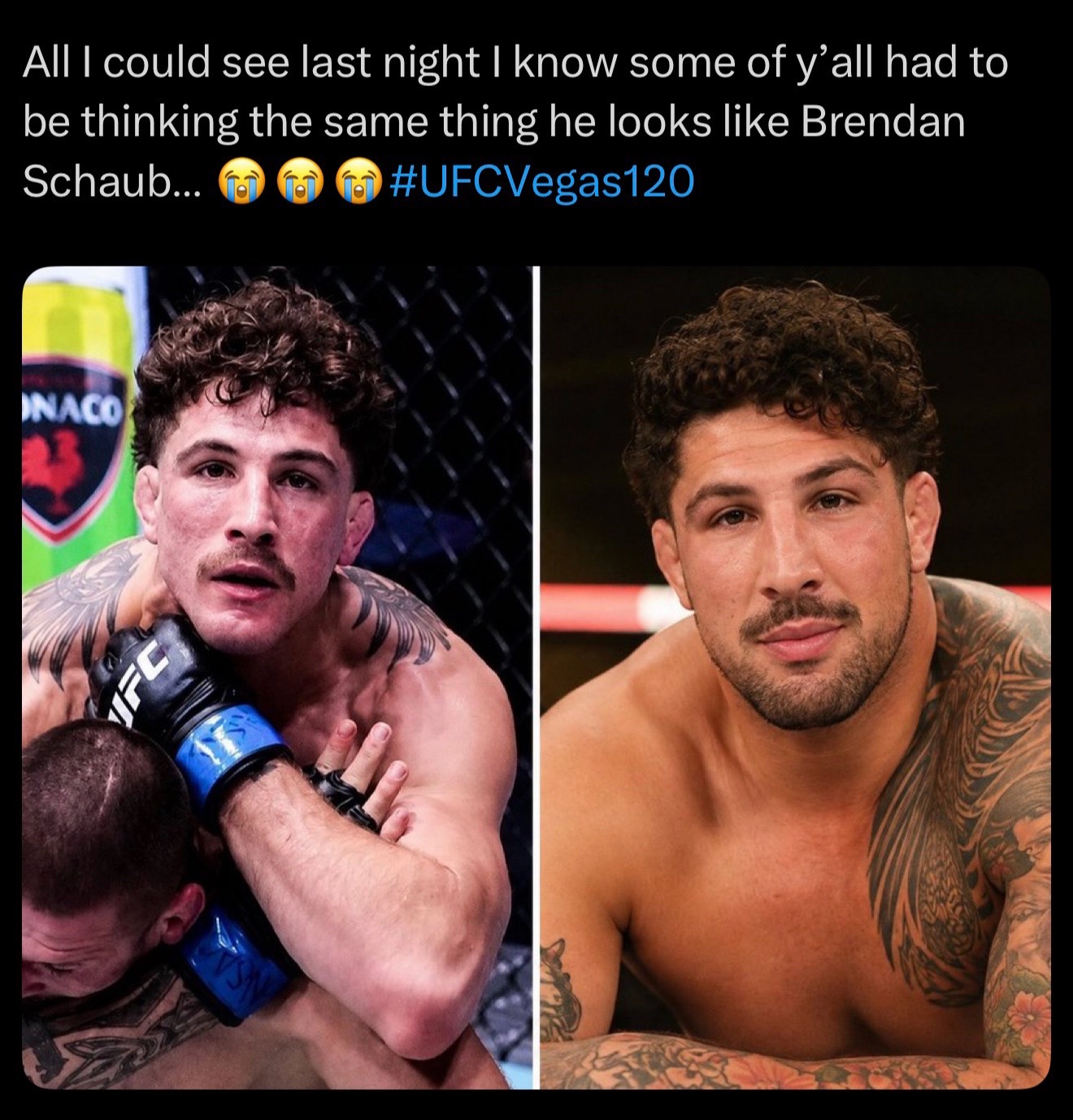 @Brendan Schaub