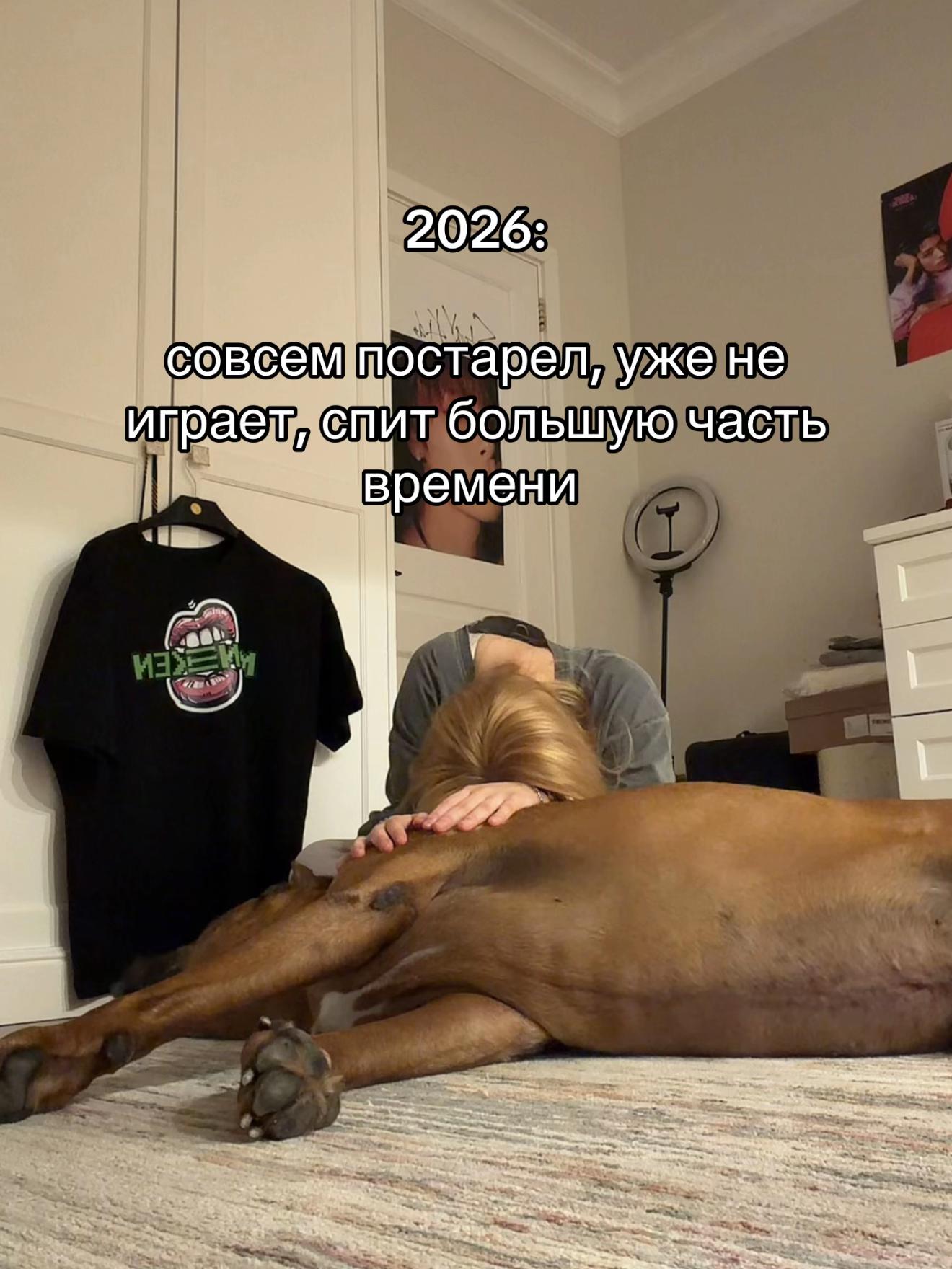 @тгк: angellloqi