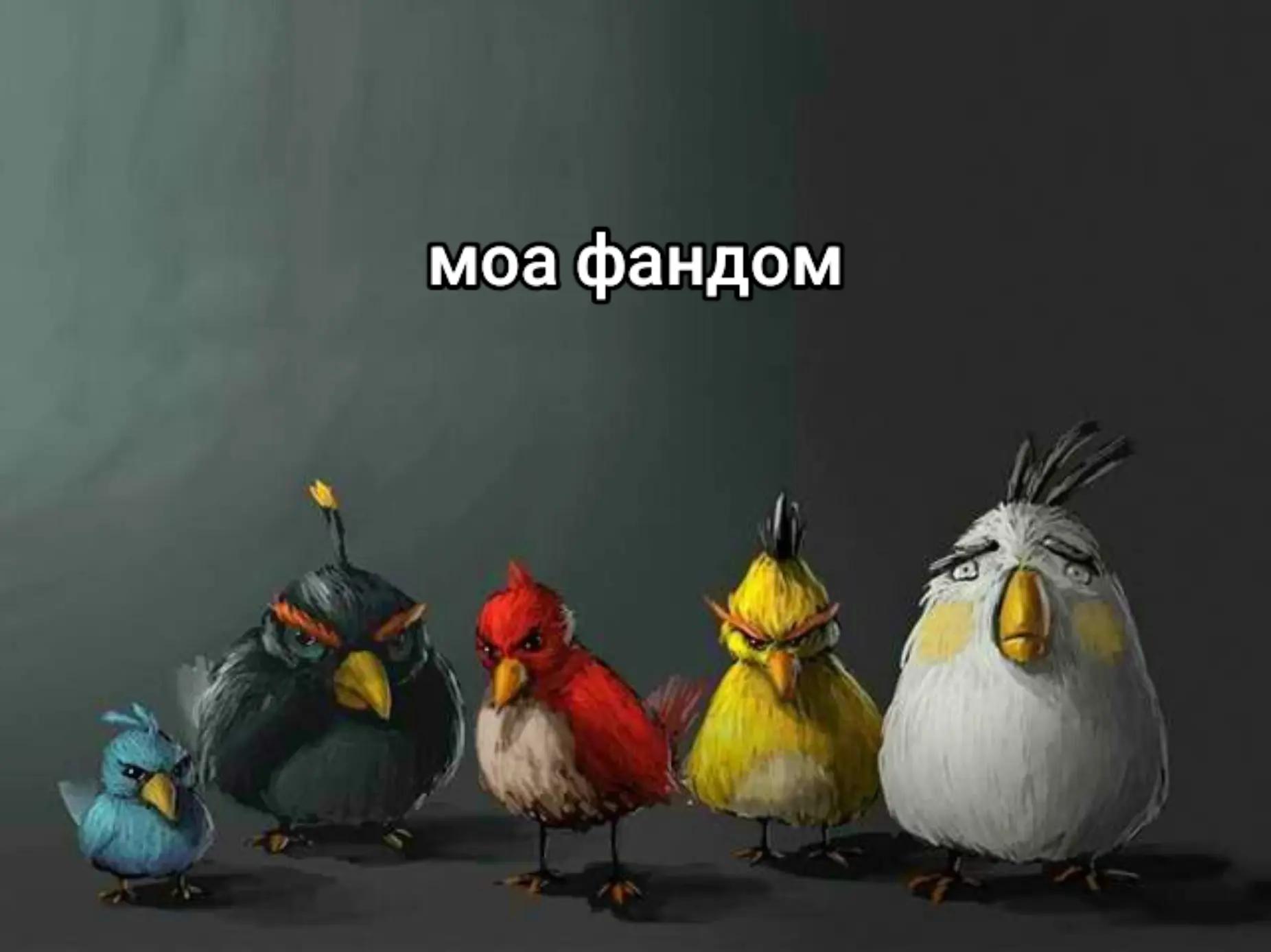 @суи🪽