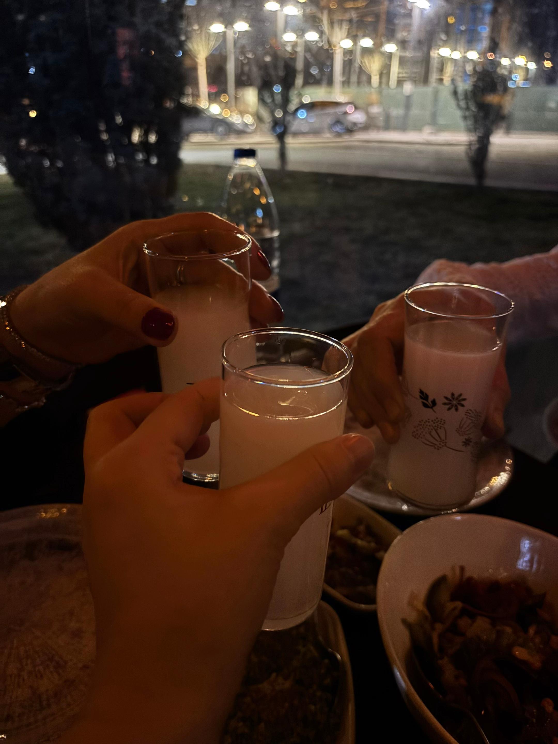 @Selma Aydın