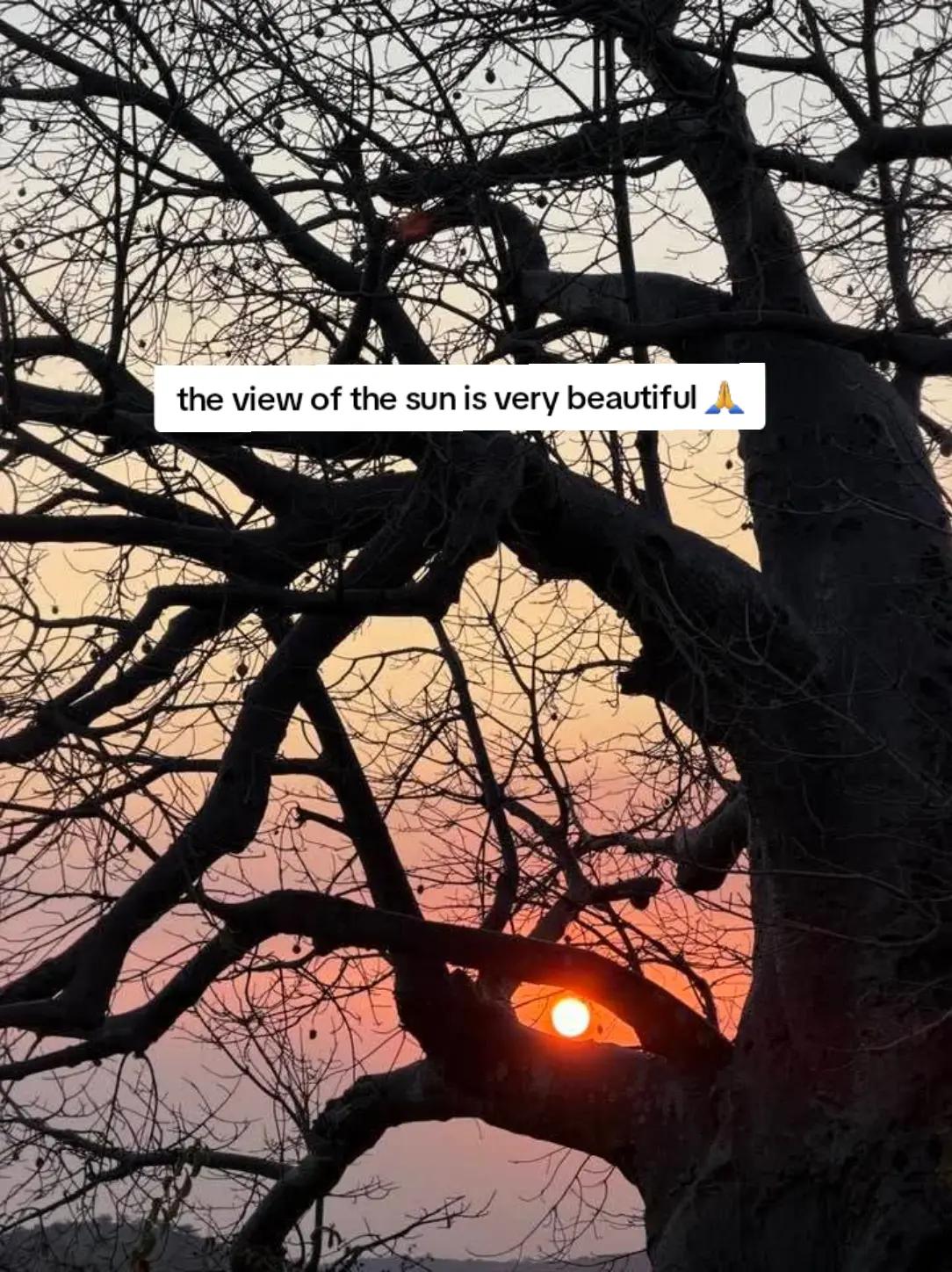 @𝔼𝕌ℕ𝕀ℂ𝔼𝕃𝕌𝕍 &hearts;️🫶&hearts;️