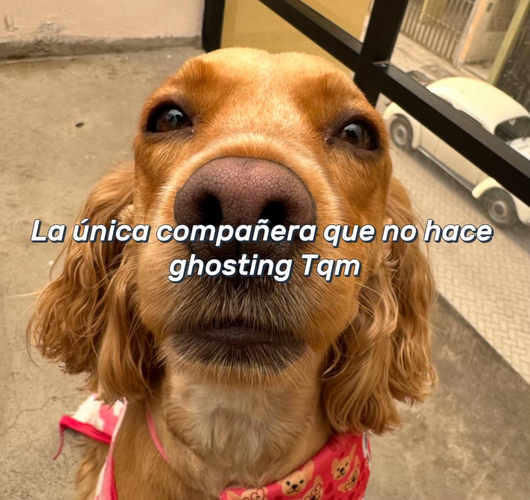 @ThePosho