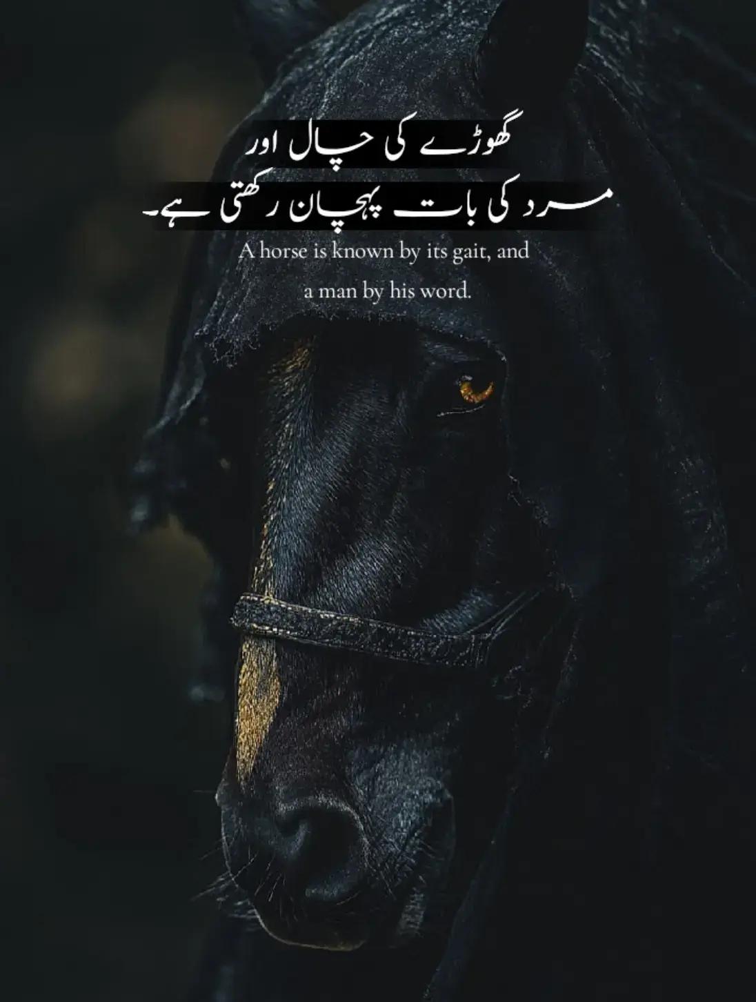 @⚛ نواب شأۂ ❇