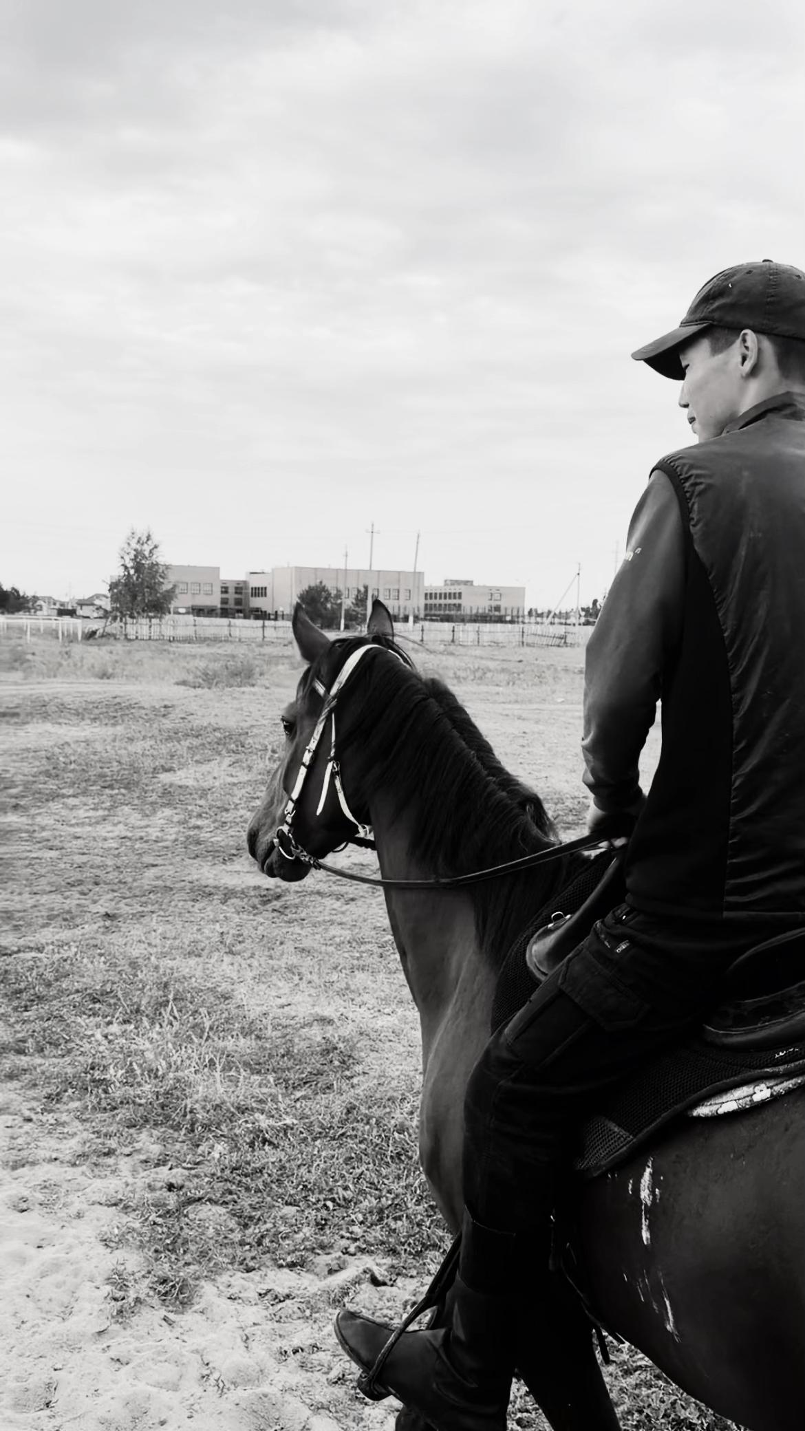 @🐎❤️