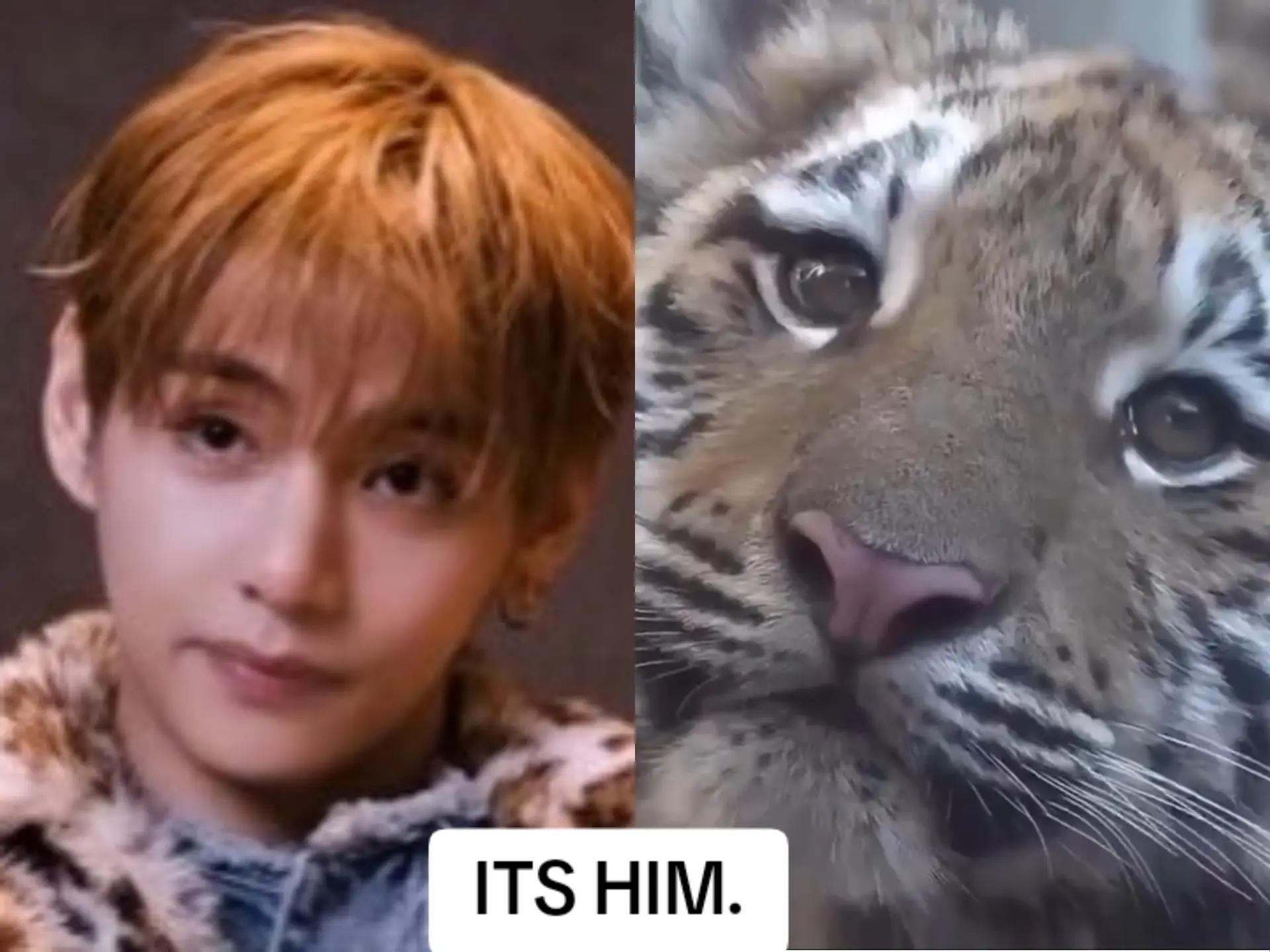 @TAE_lovers123095