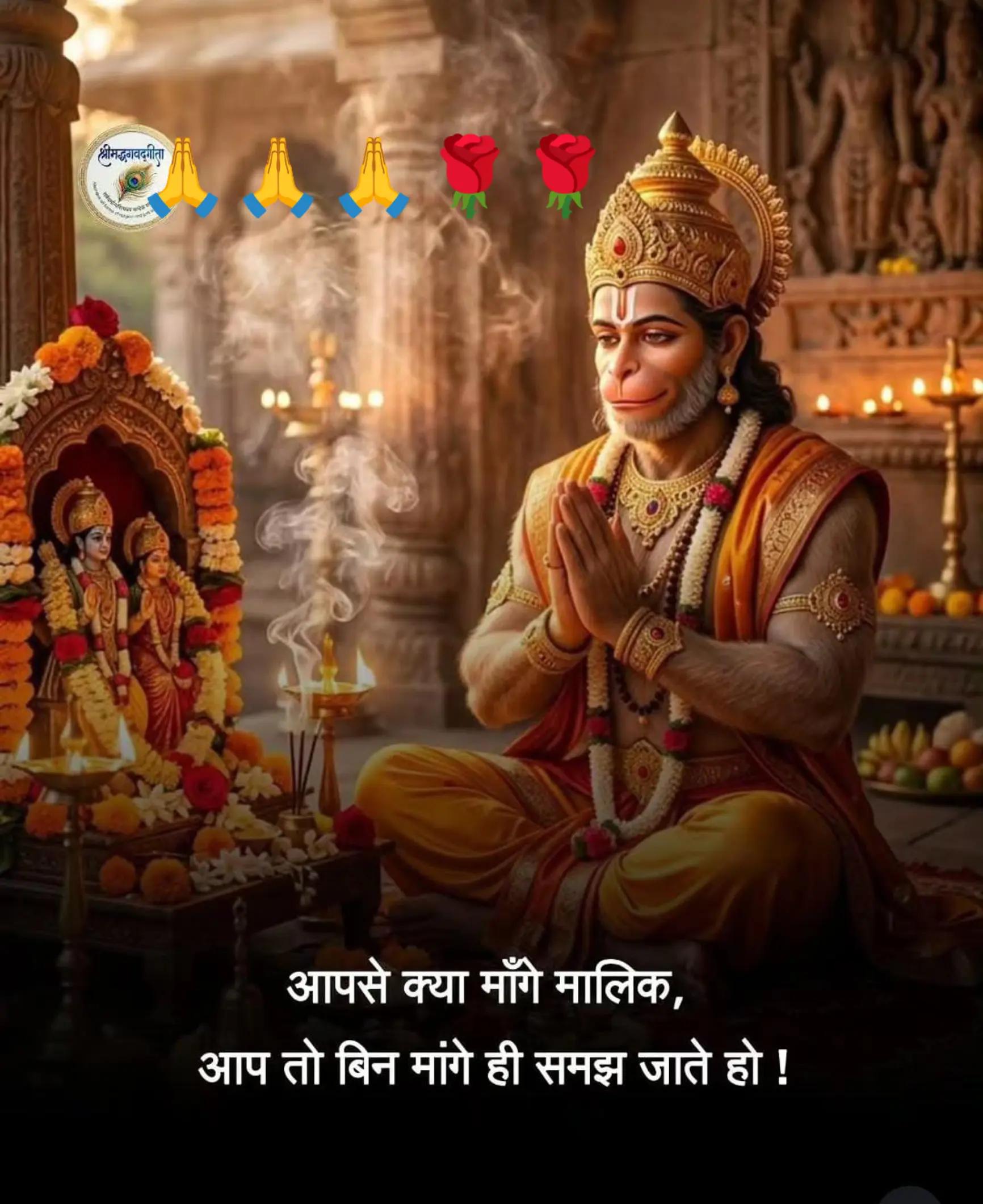 @Anjani Thakur🌻🌻