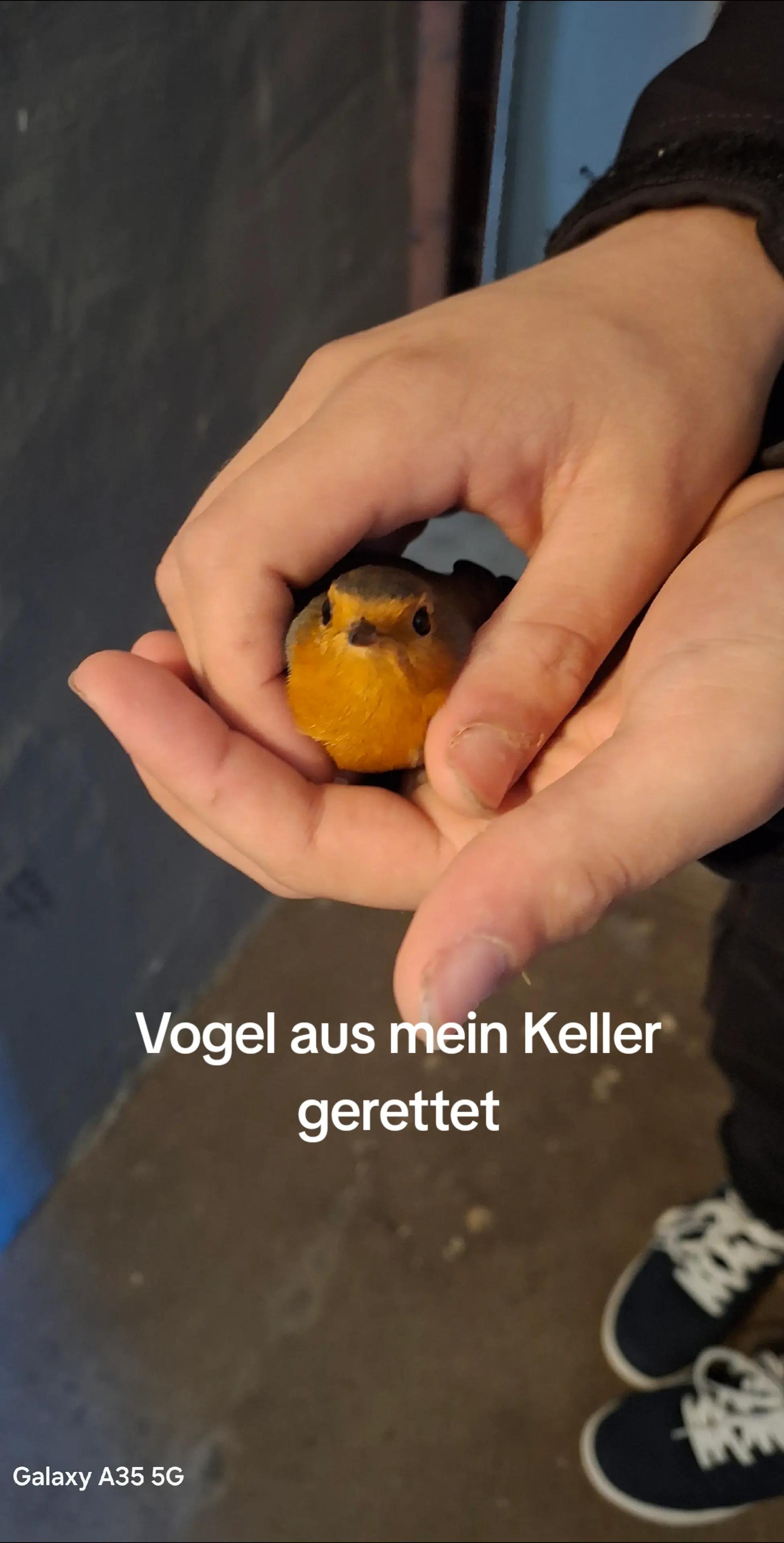 @Sauerl&auml;nder Angler [Leon]