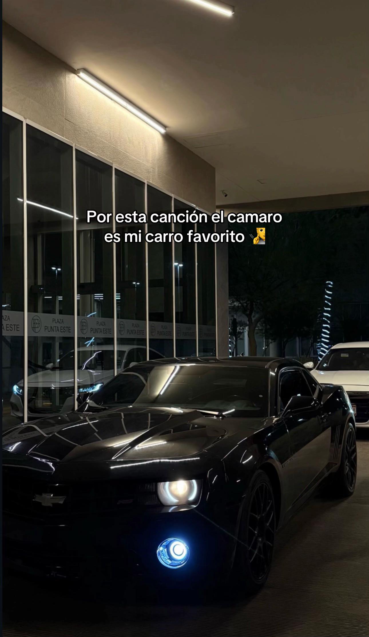 @Lizeth Paz