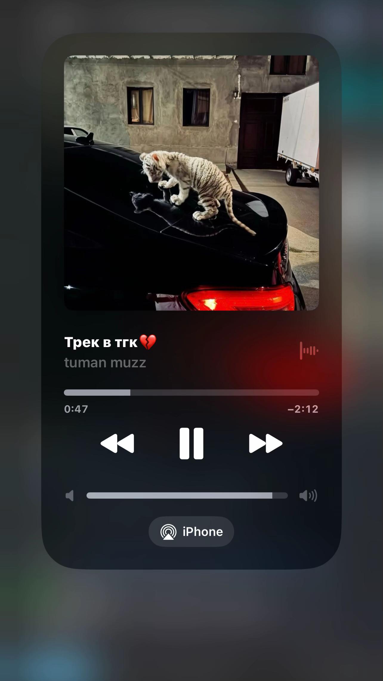 @T𐌵𐌑A𐌽 𐌑𐌵ZZ