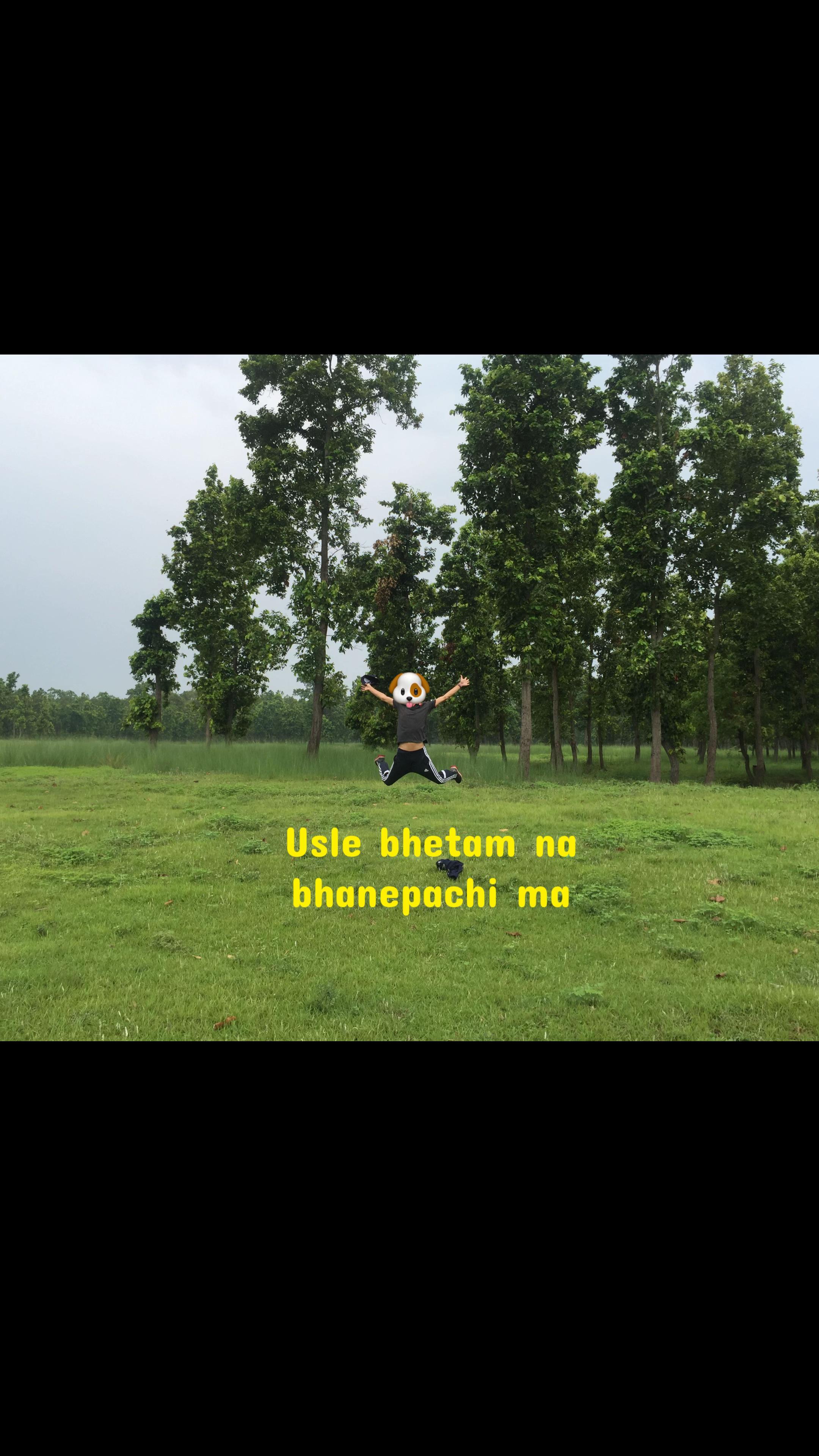 @bekcha
