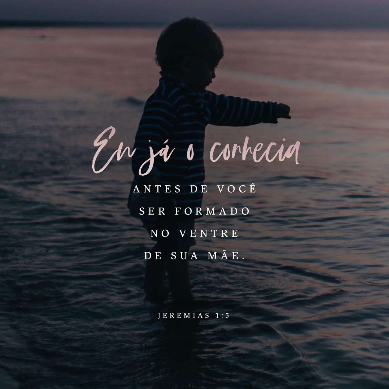 @profeciadejesus