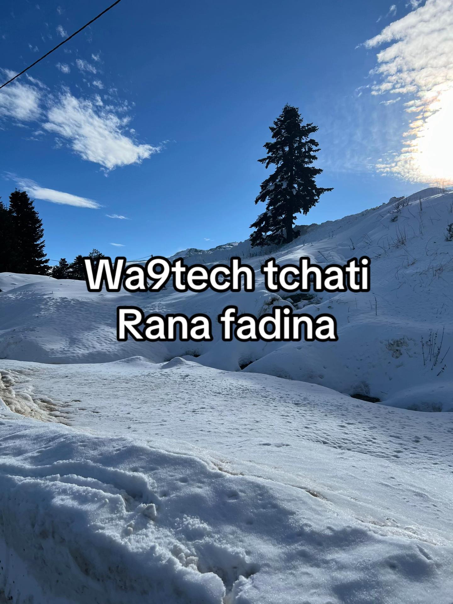 @Hayfa wesleti