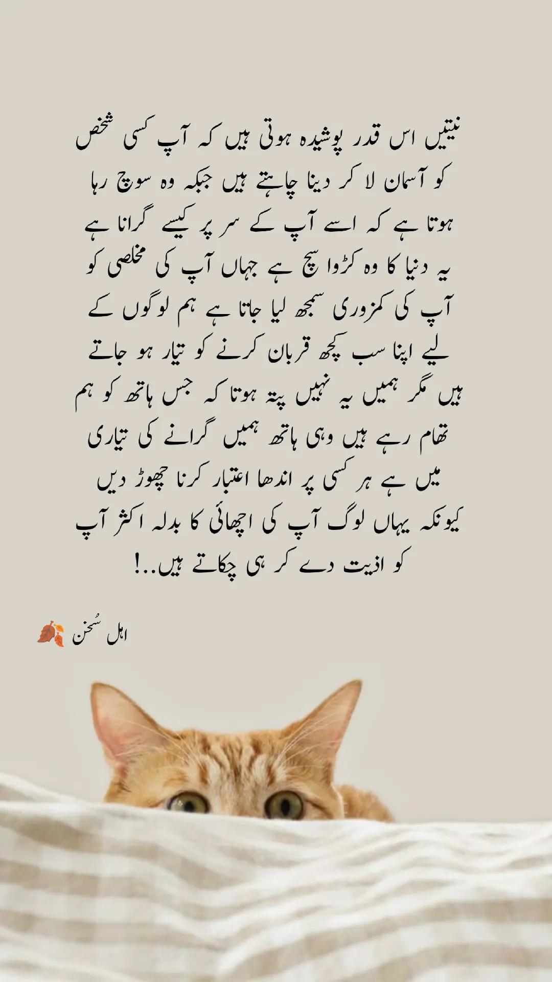 @اہل سخن 🍂