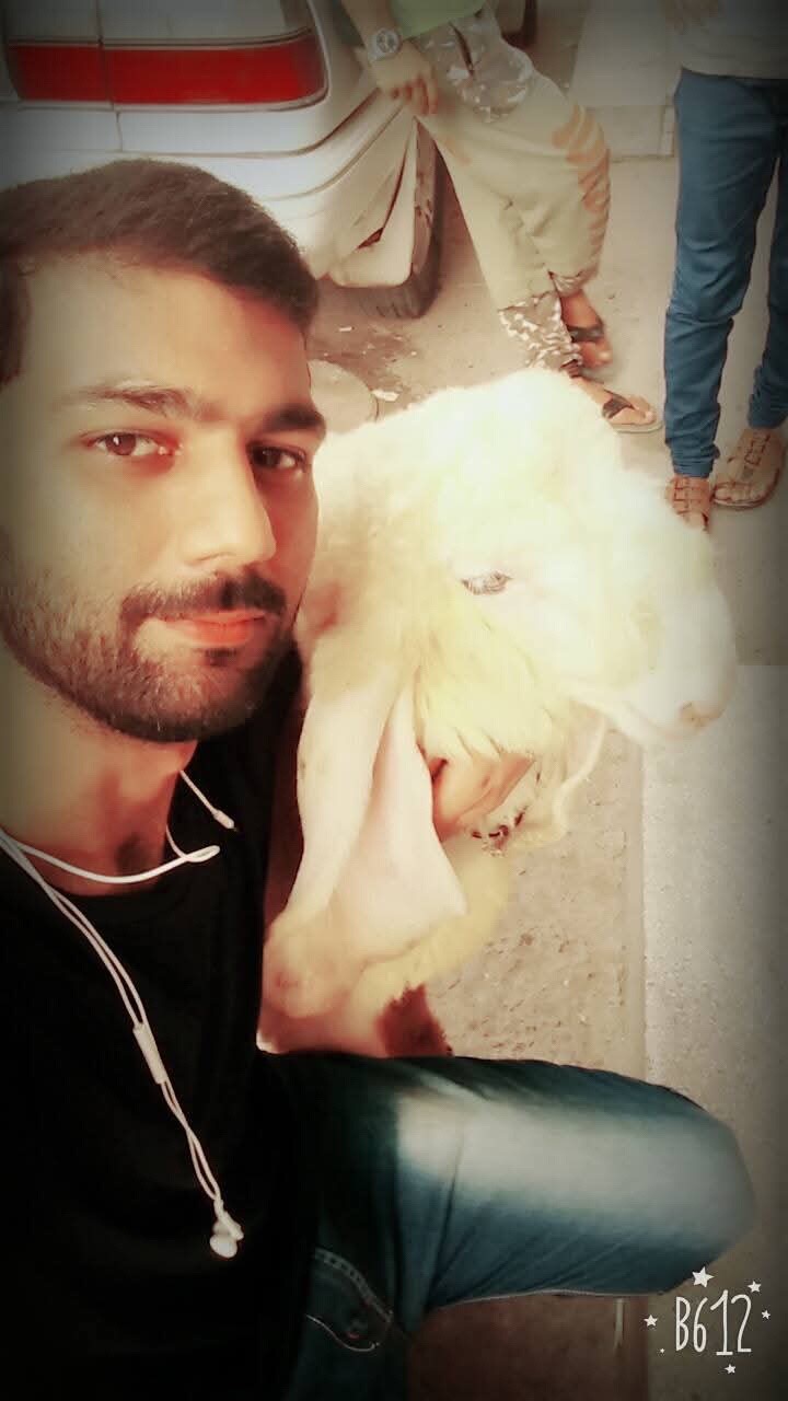 @Zuhaib Rajput