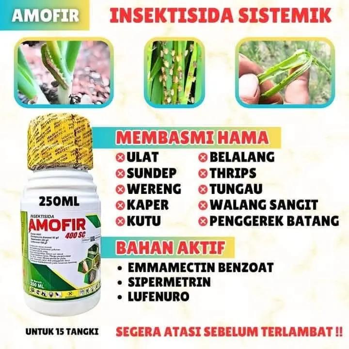 @Awig Shop Jaya Santosa