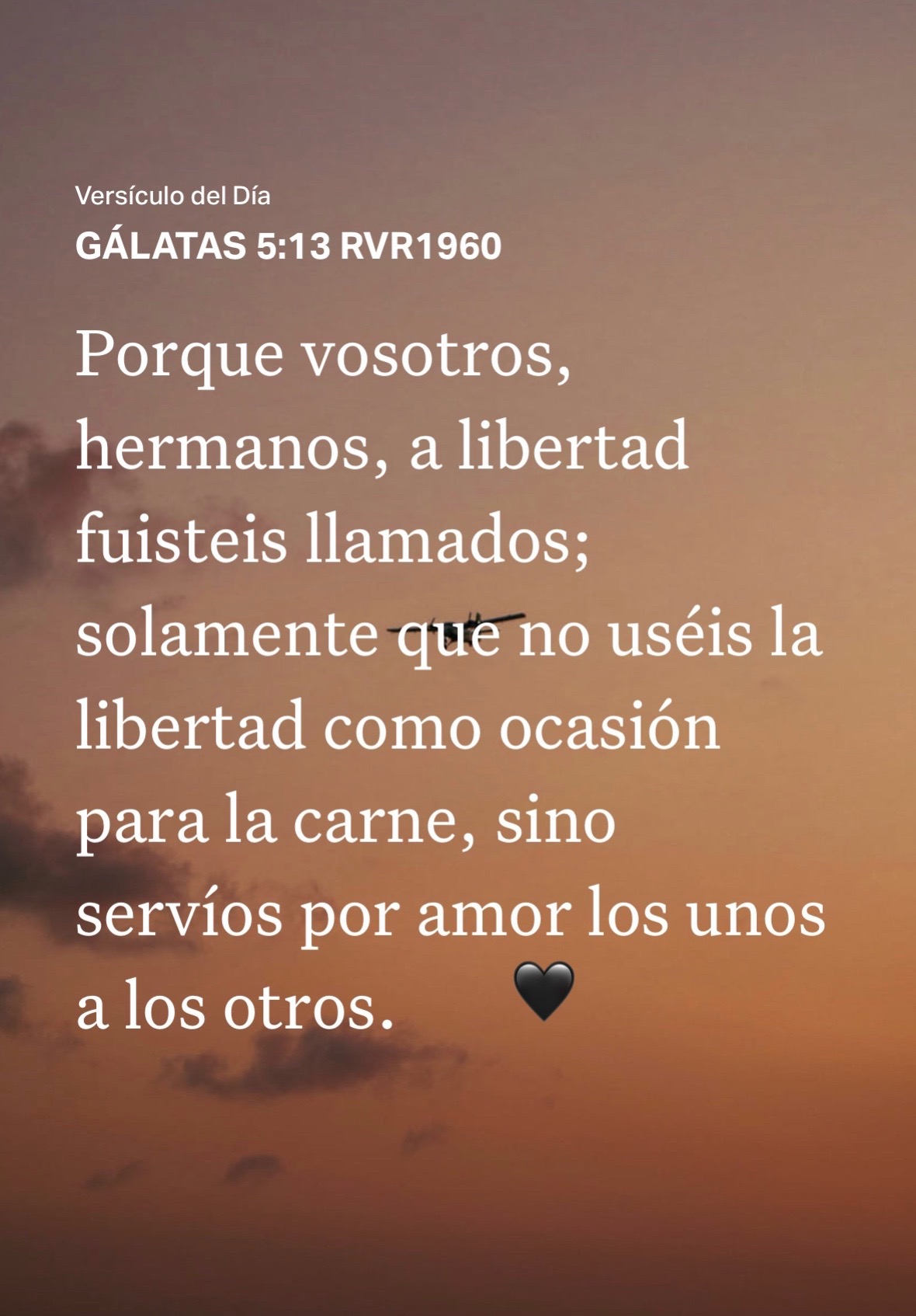 @Irma Hern&aacute;ndez