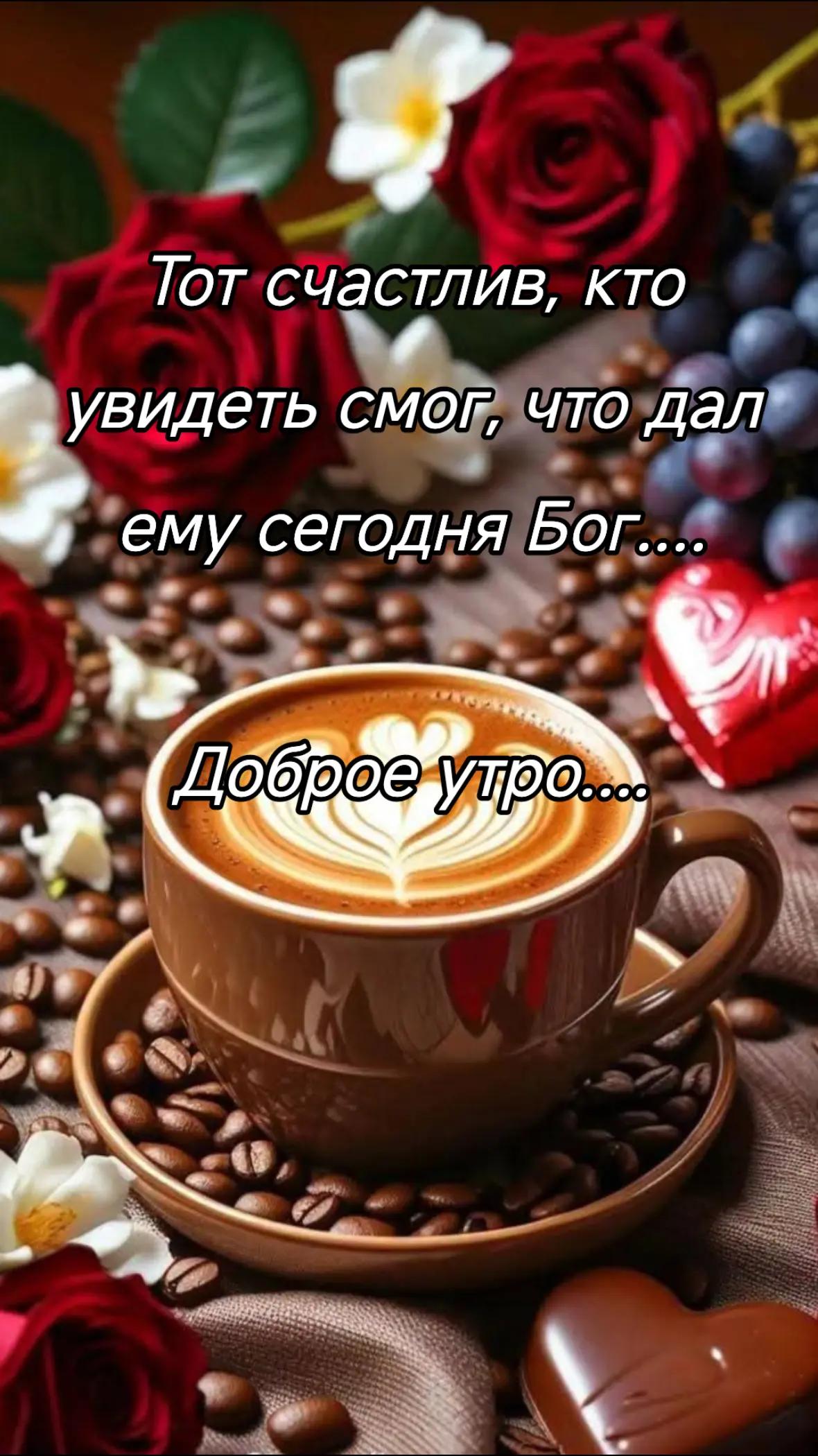 @Elza