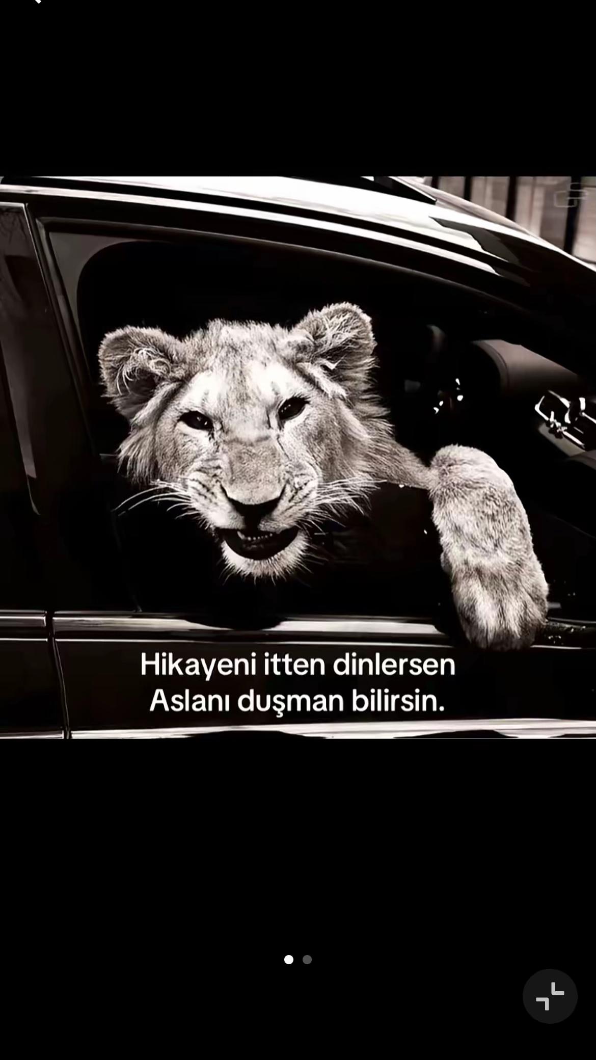 @&Ouml;mer_"gnss"