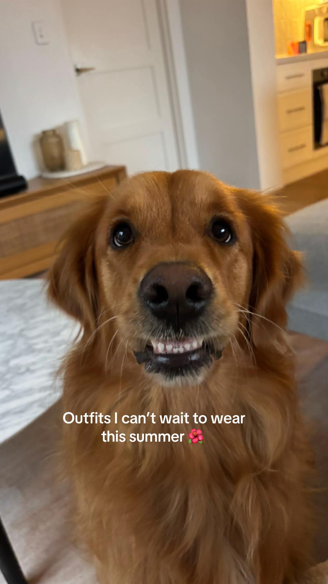 @delilah.thegoldengirl