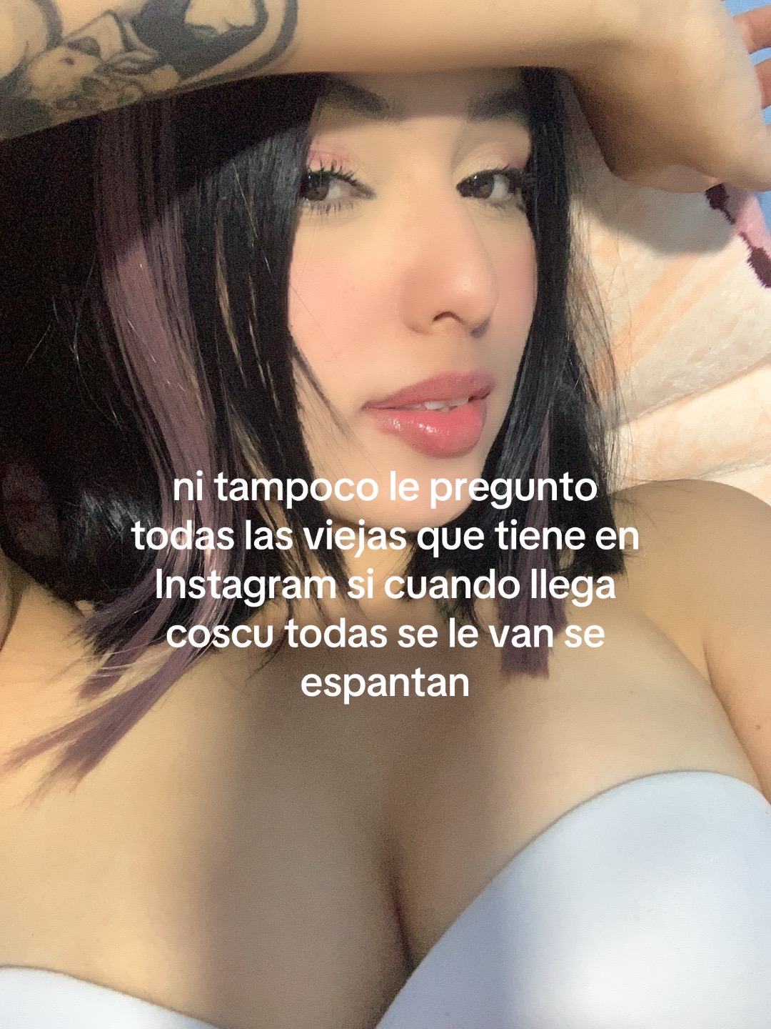 @pollita