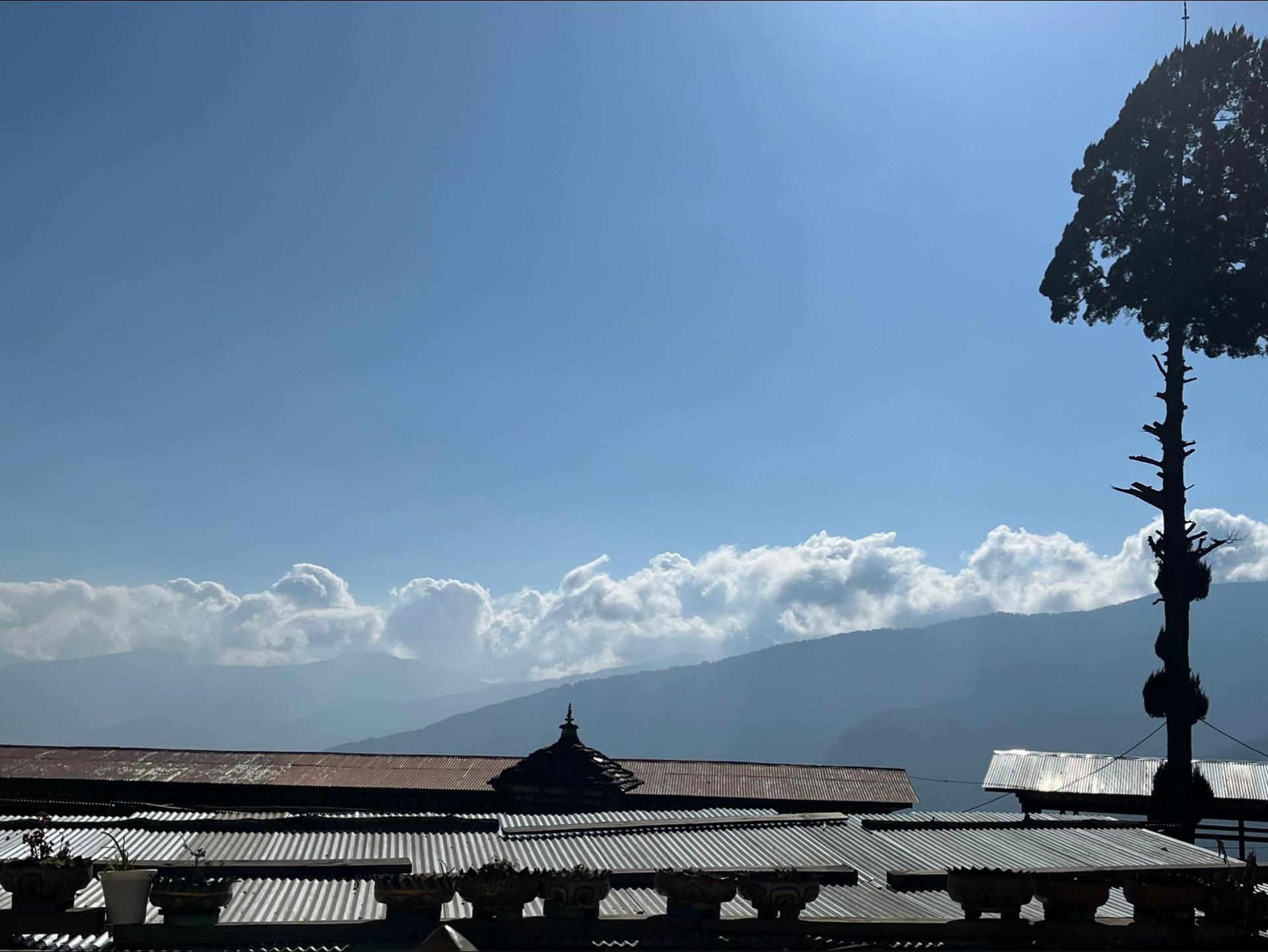 @Nidup Dorji