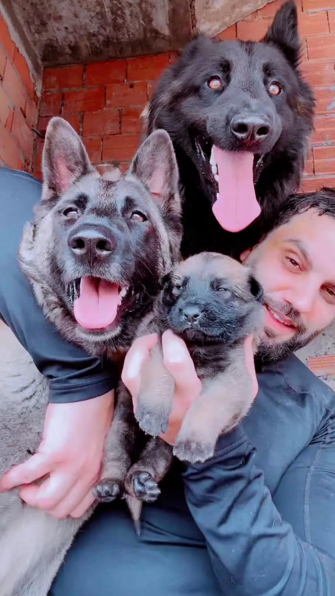 @Aldo🦍&pawla🦮