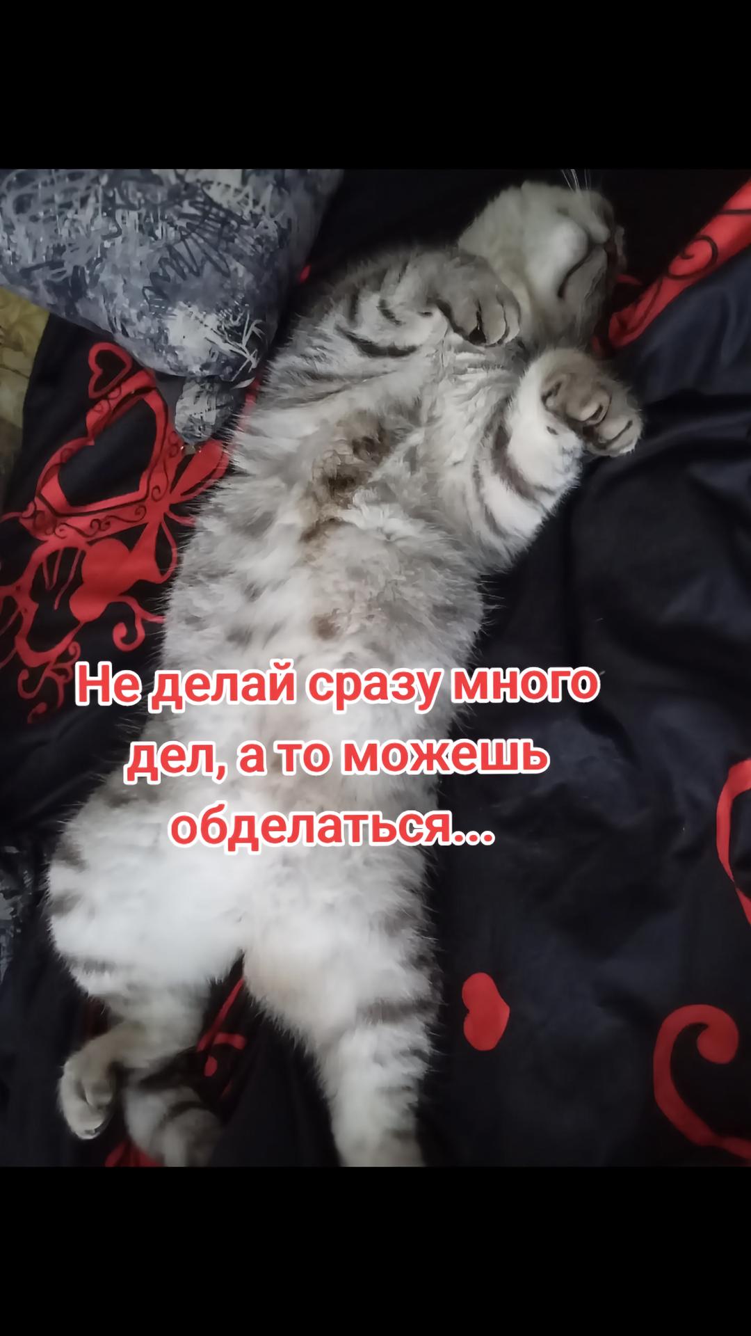 @Юморок под вечерок