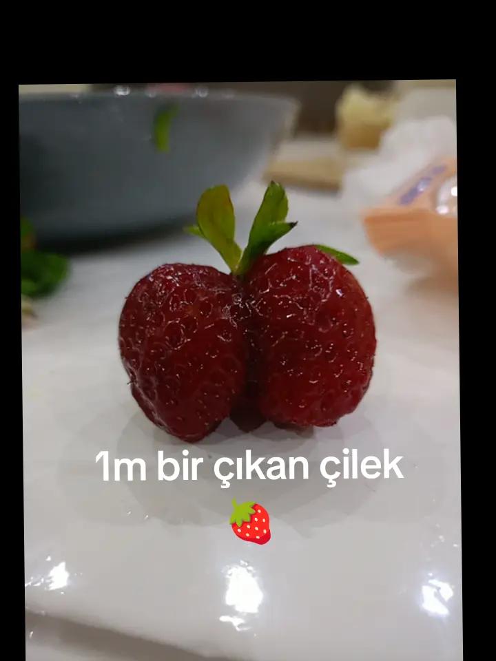 @Alptuğ