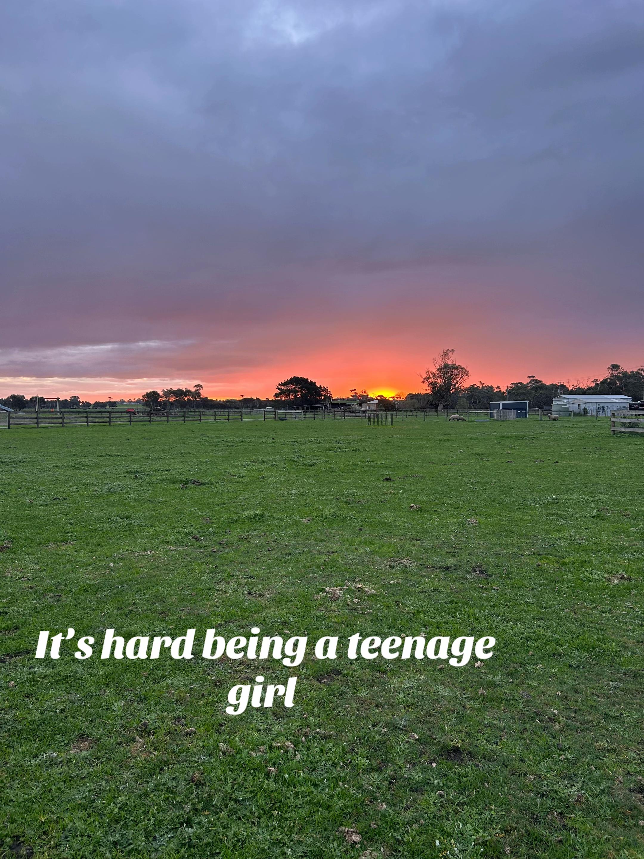 @Tilly Mead
