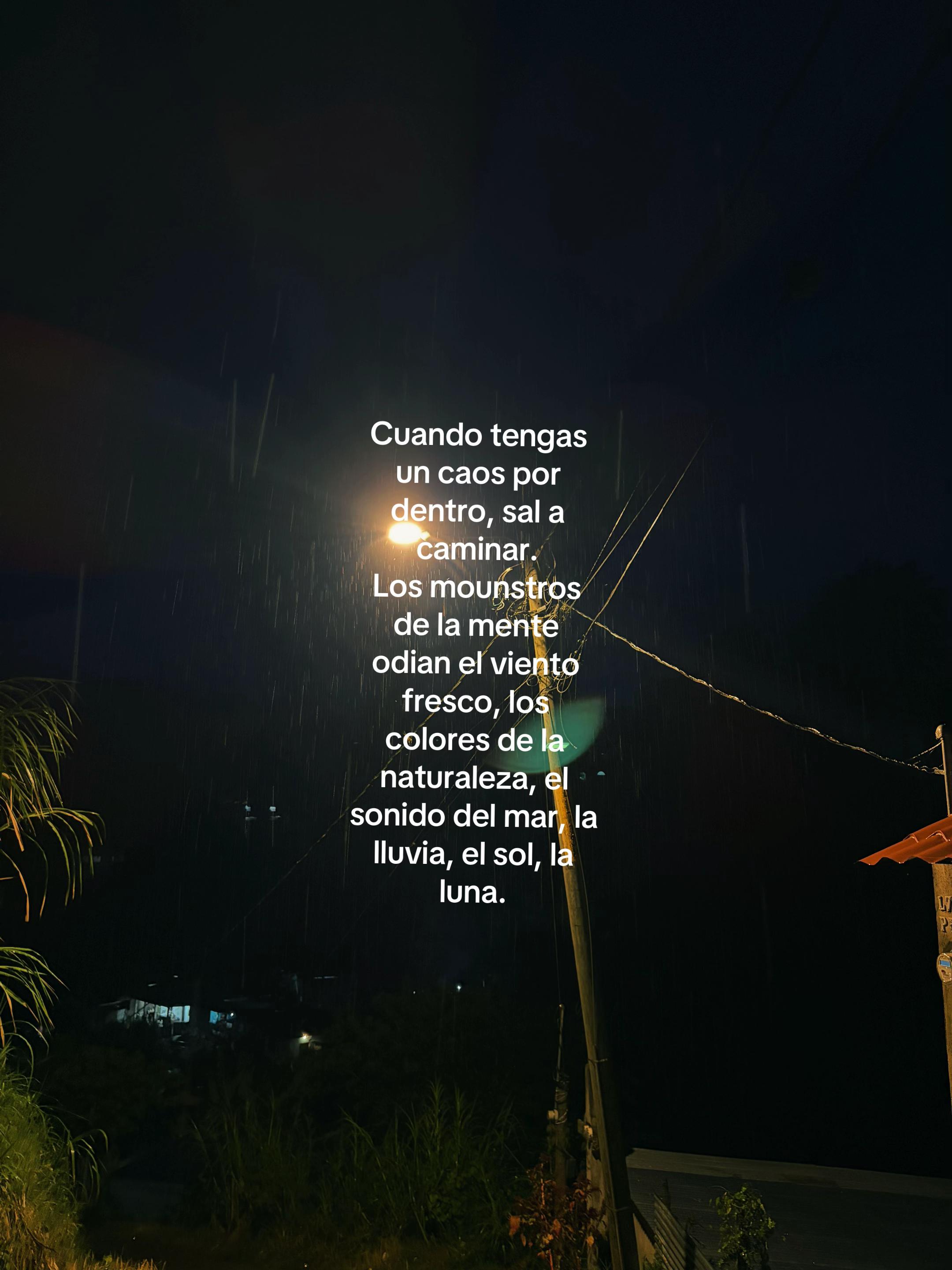 @Rolitas_variables20
