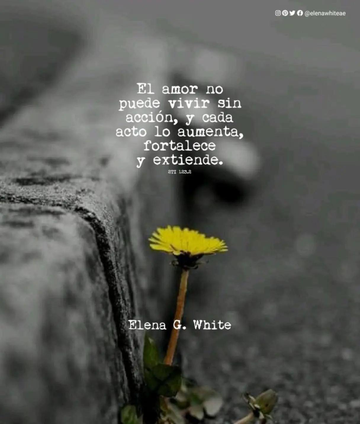 @Ingrid Moreno