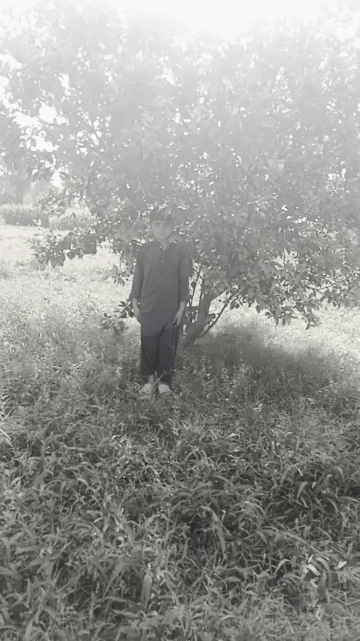 @shafqat Ramdani