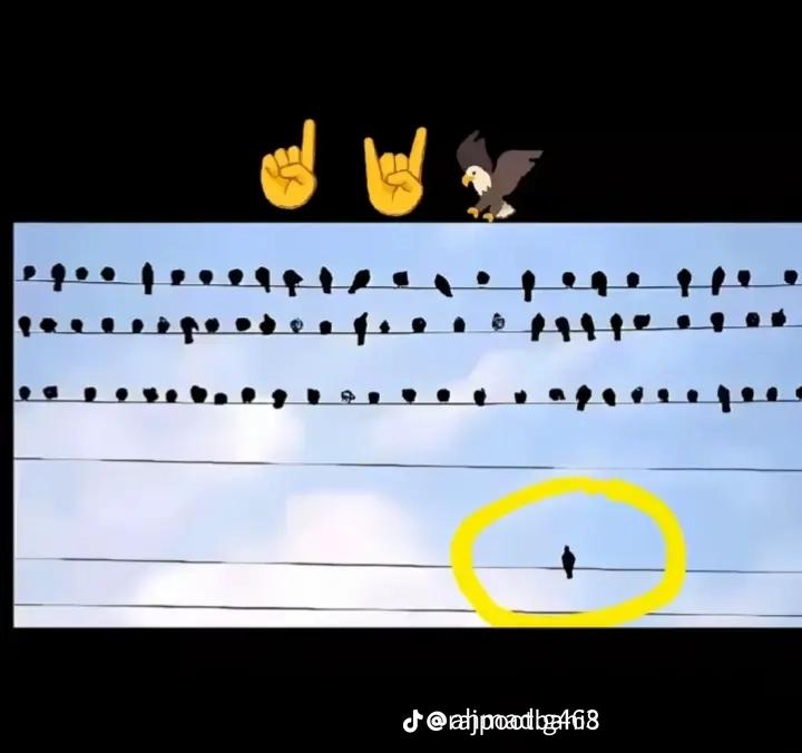@راٺوڙ صاحب Ramoo 🥀🥀🌹Jan