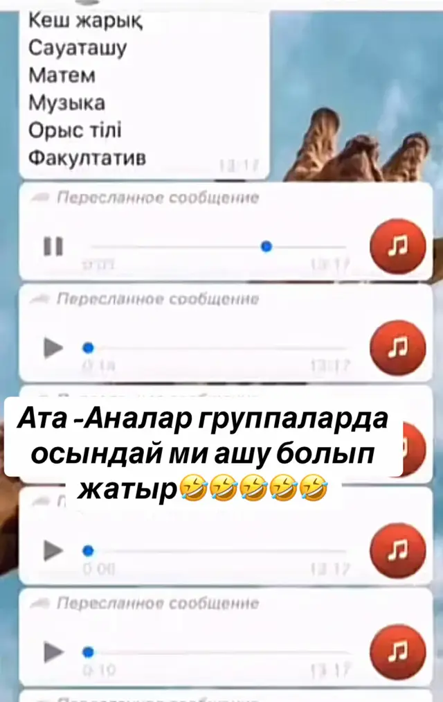 @syrlybayeva_u