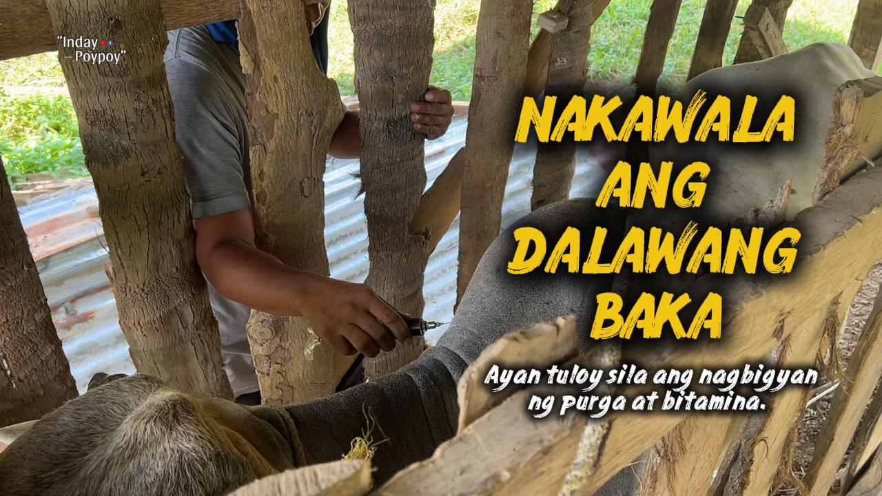 @indaypoypoy