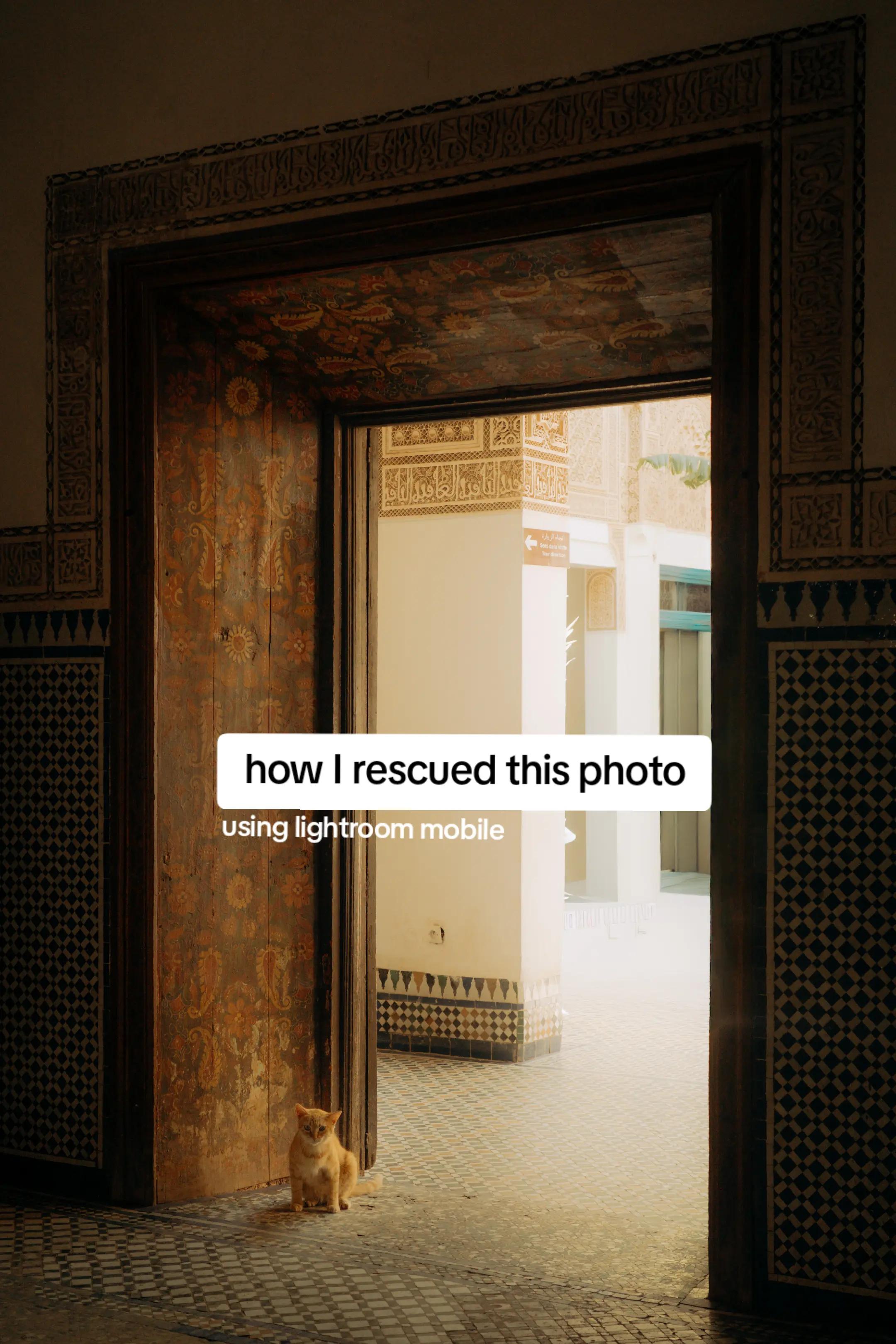 @Ellen Escapes