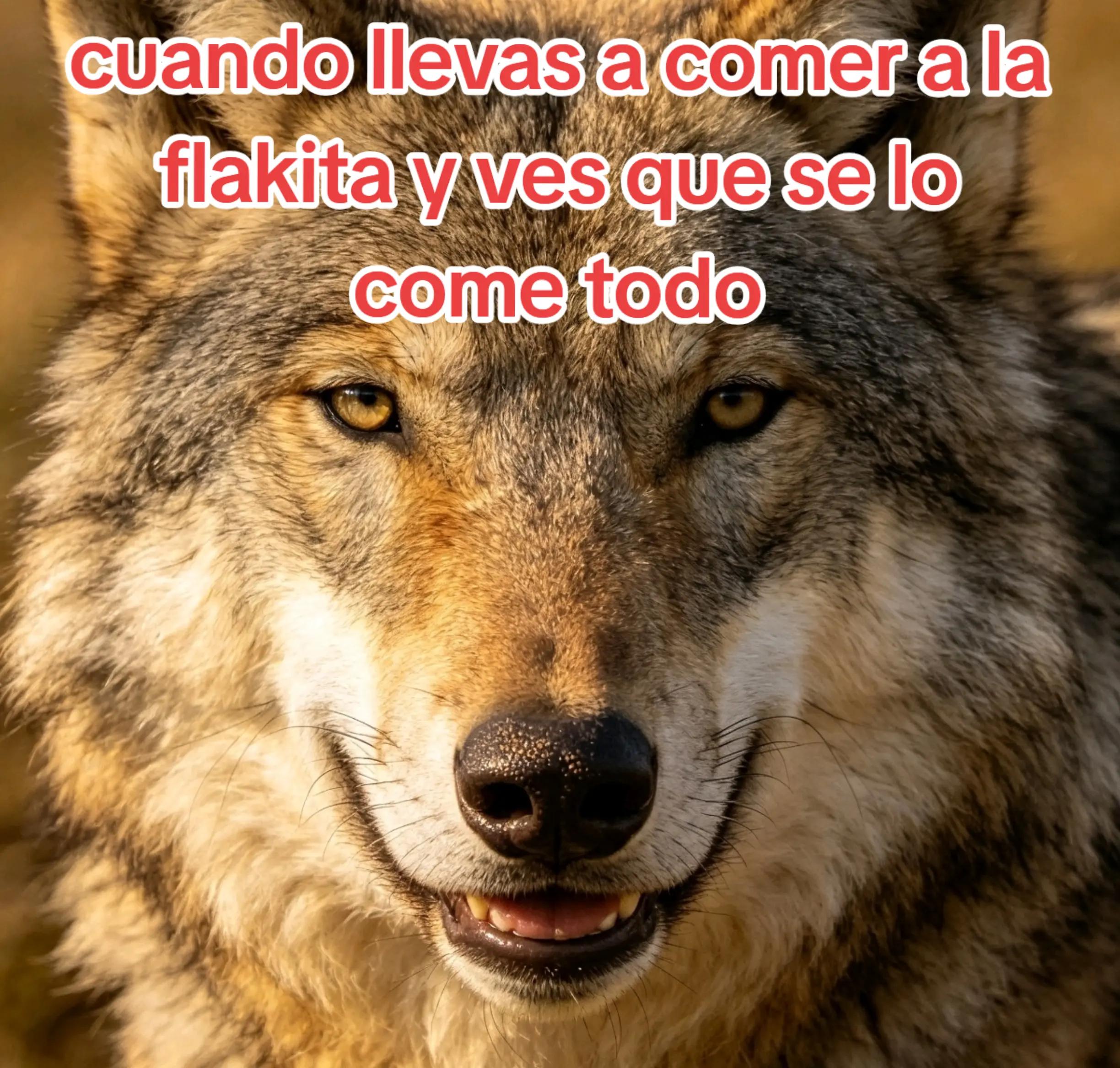 @Miguel Ramirez